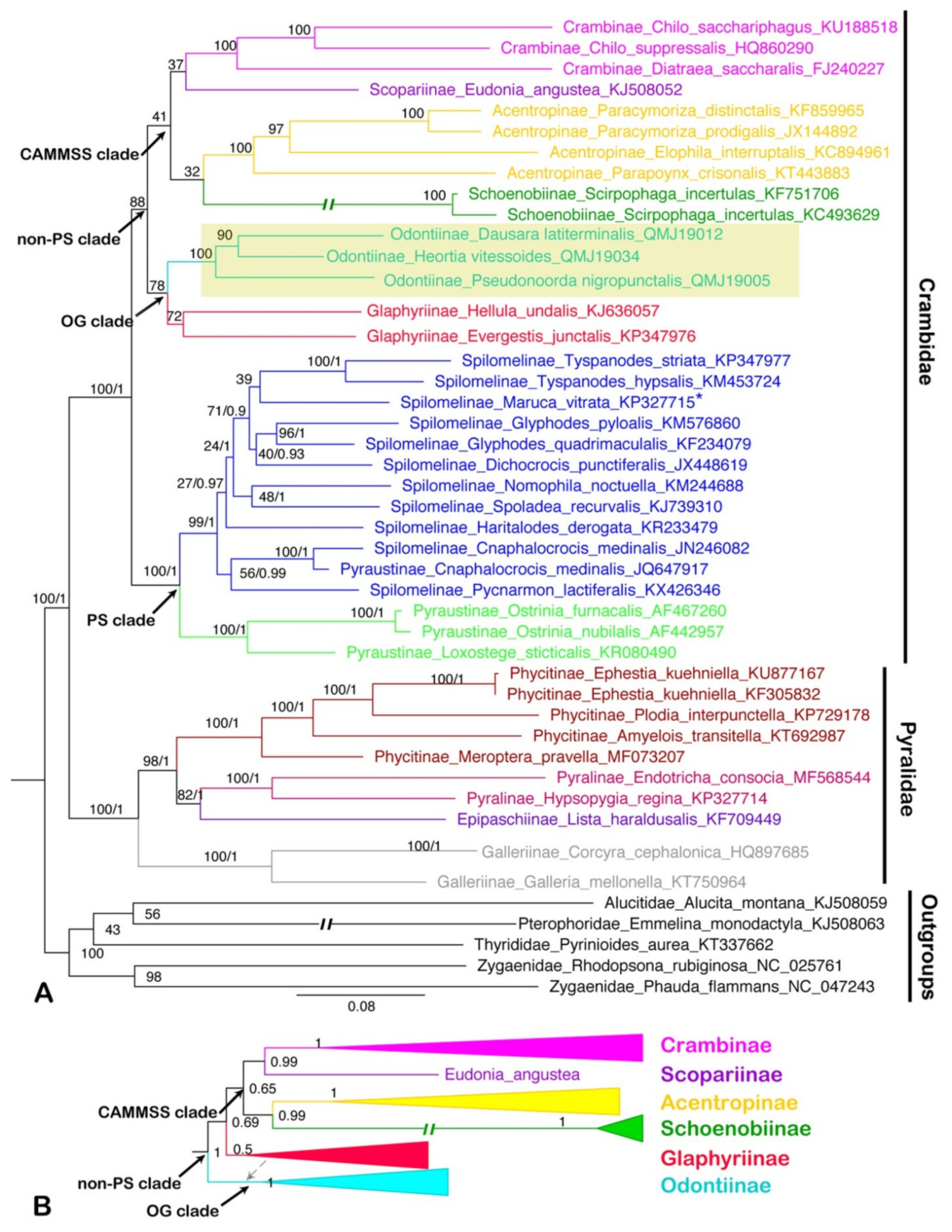 Insects 12 00486 g007 Insects 12 00486 g007