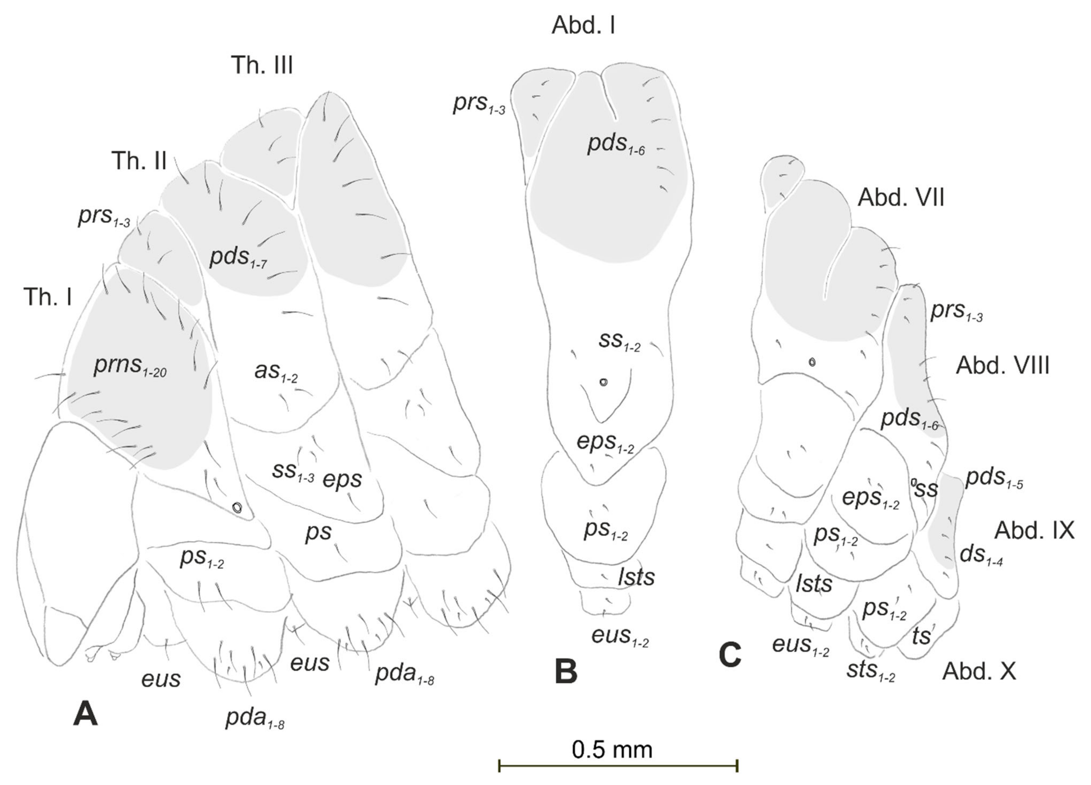 Insects 12 00489 g002 Insects 12 00489 g002