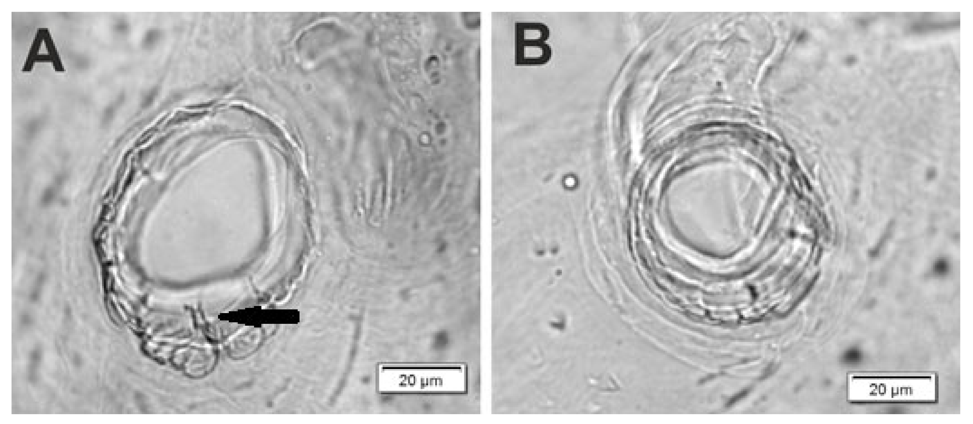 Insects 12 00489 g003 Insects 12 00489 g003