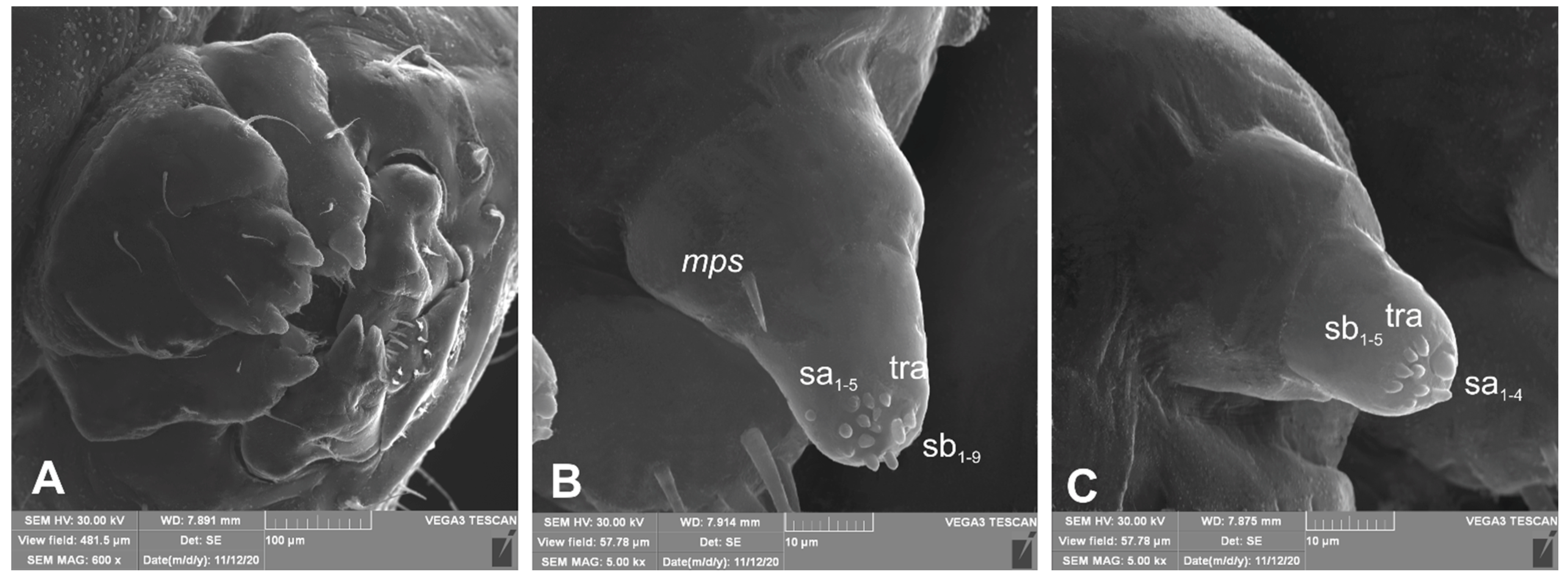 Insects 12 00489 g008 Insects 12 00489 g008