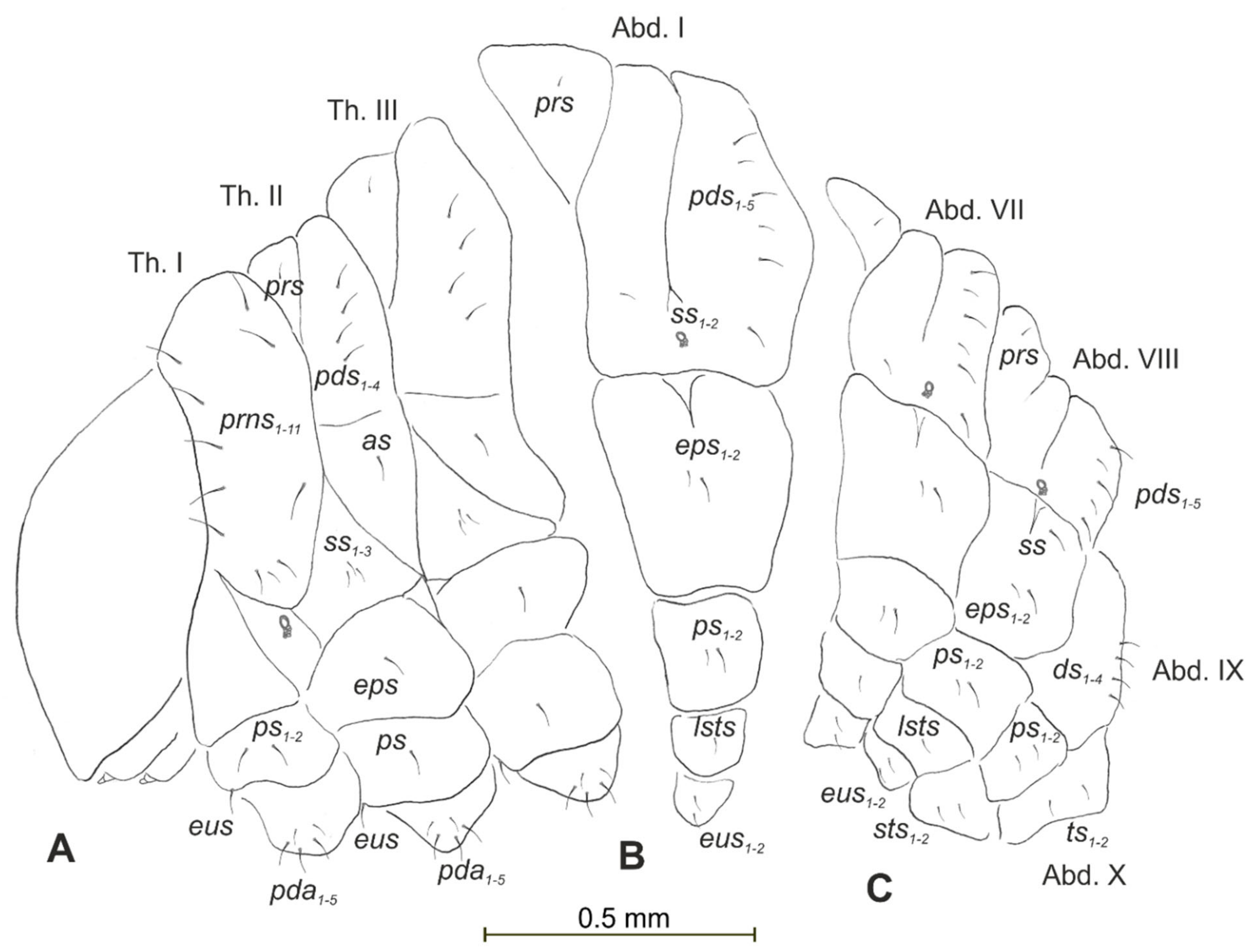 Insects 12 00489 g012 Insects 12 00489 g012
