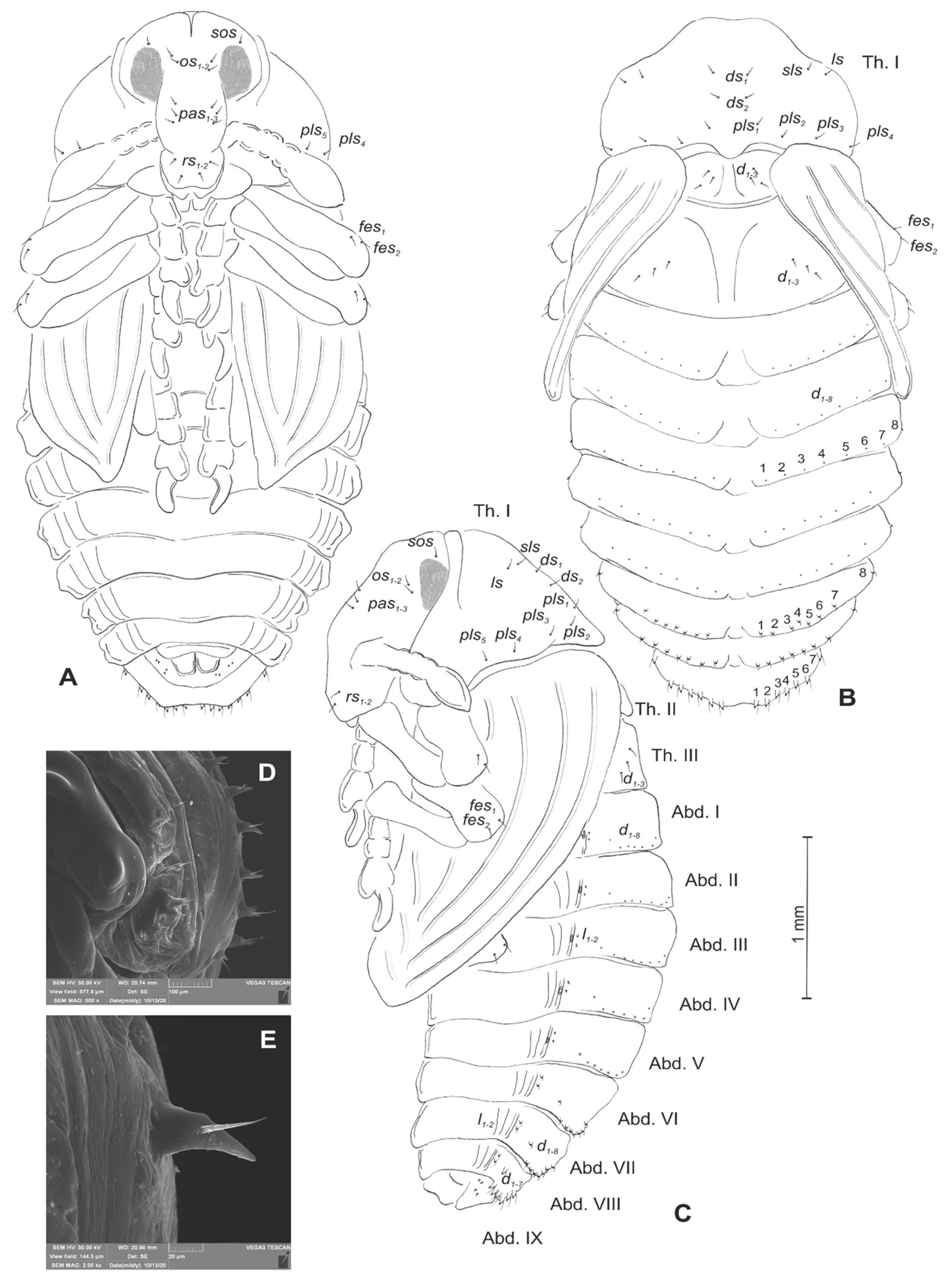 Insects 12 00489 g020 Insects 12 00489 g020