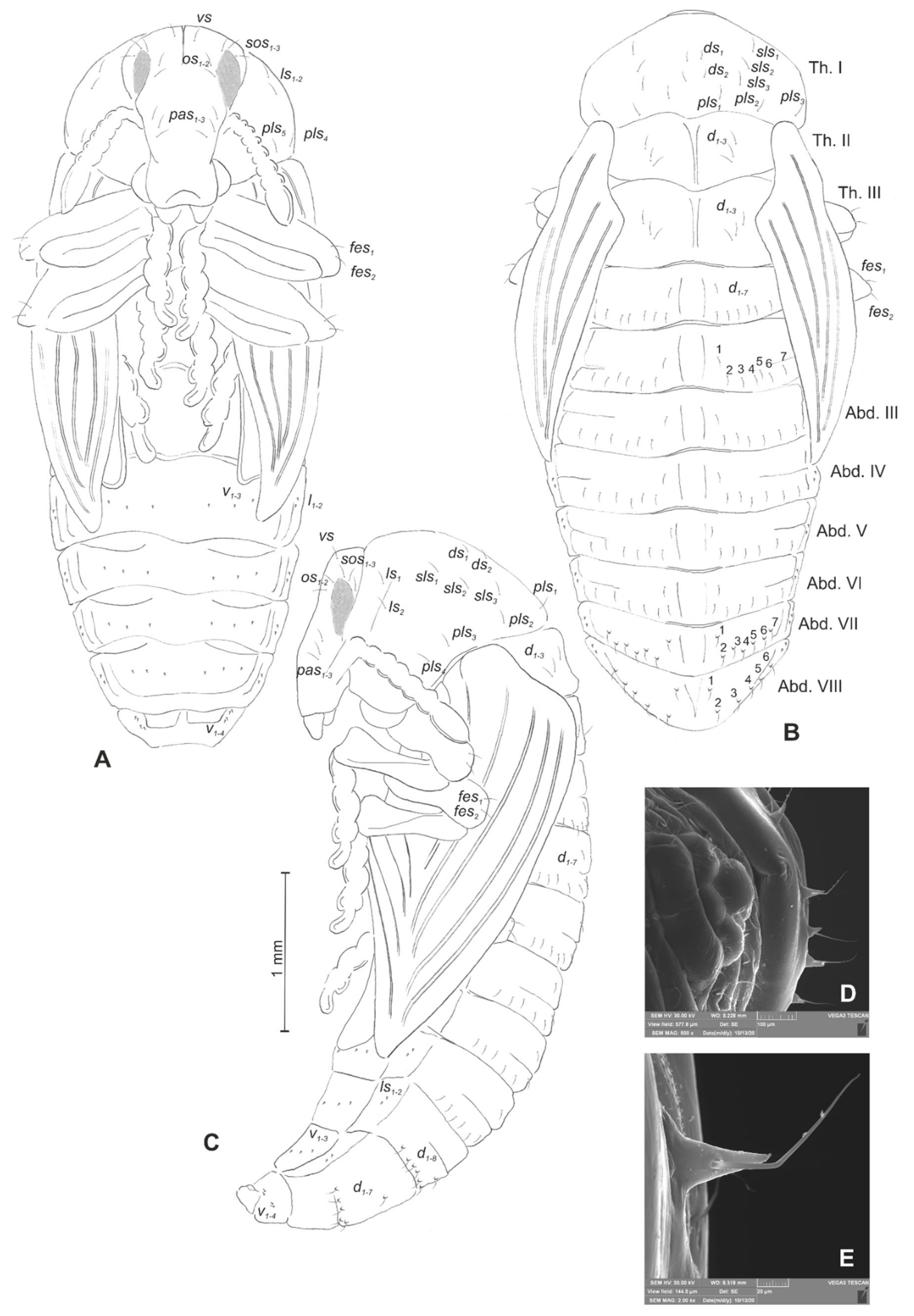 Insects 12 00489 g022 Insects 12 00489 g022