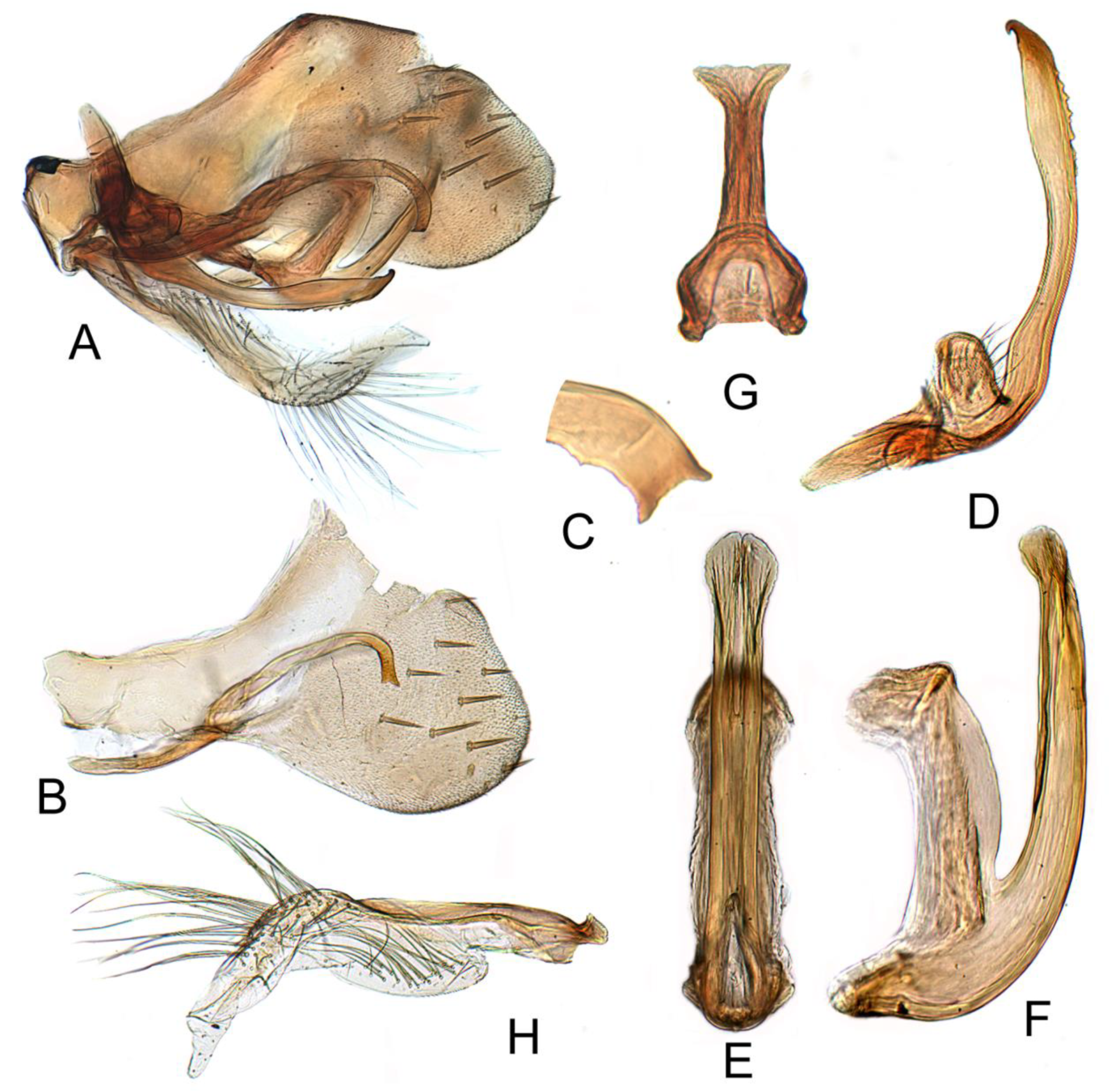 Insects 12 00494 g005 Insects 12 00494 g005