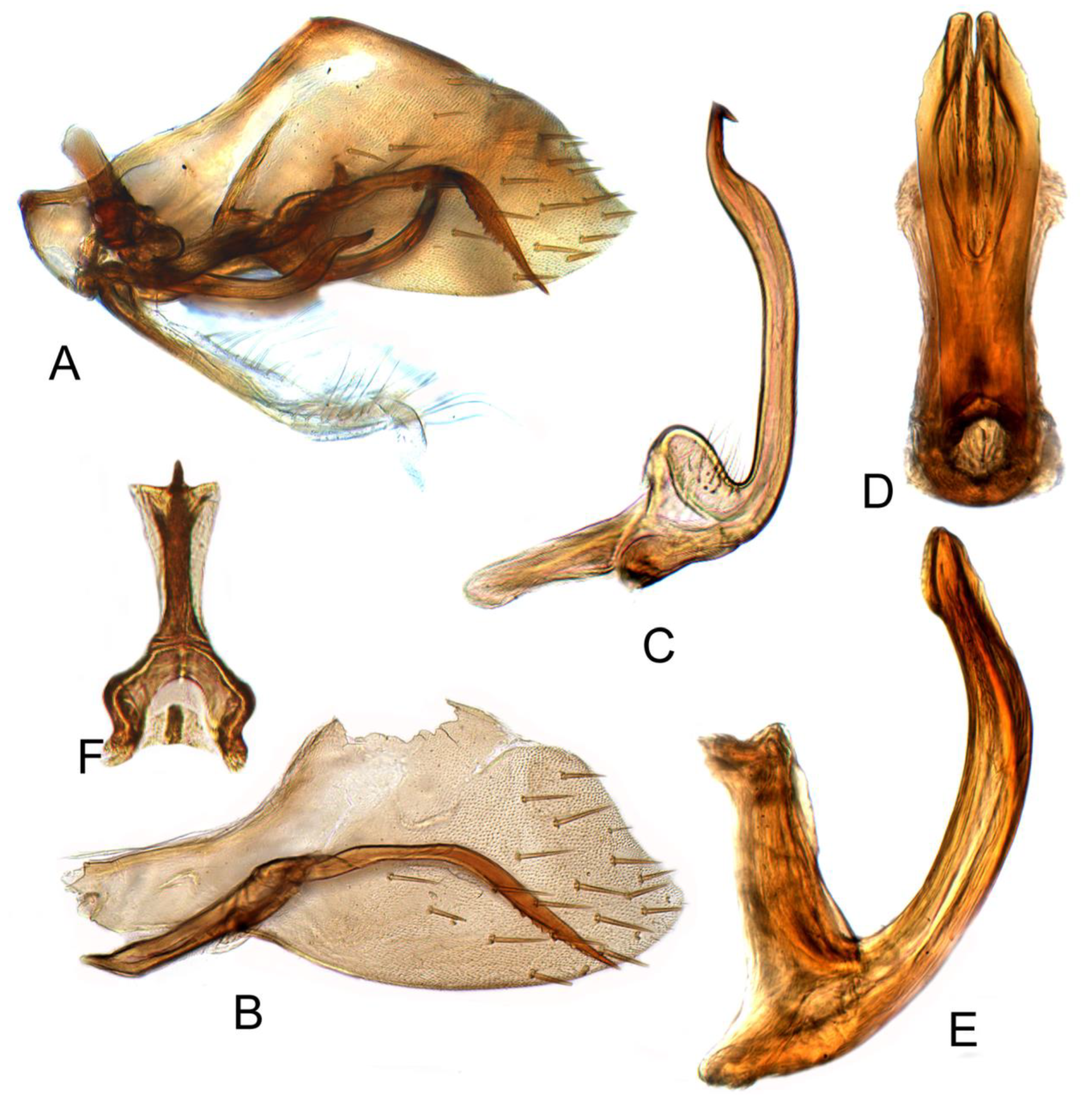 Insects 12 00494 g007 Insects 12 00494 g007