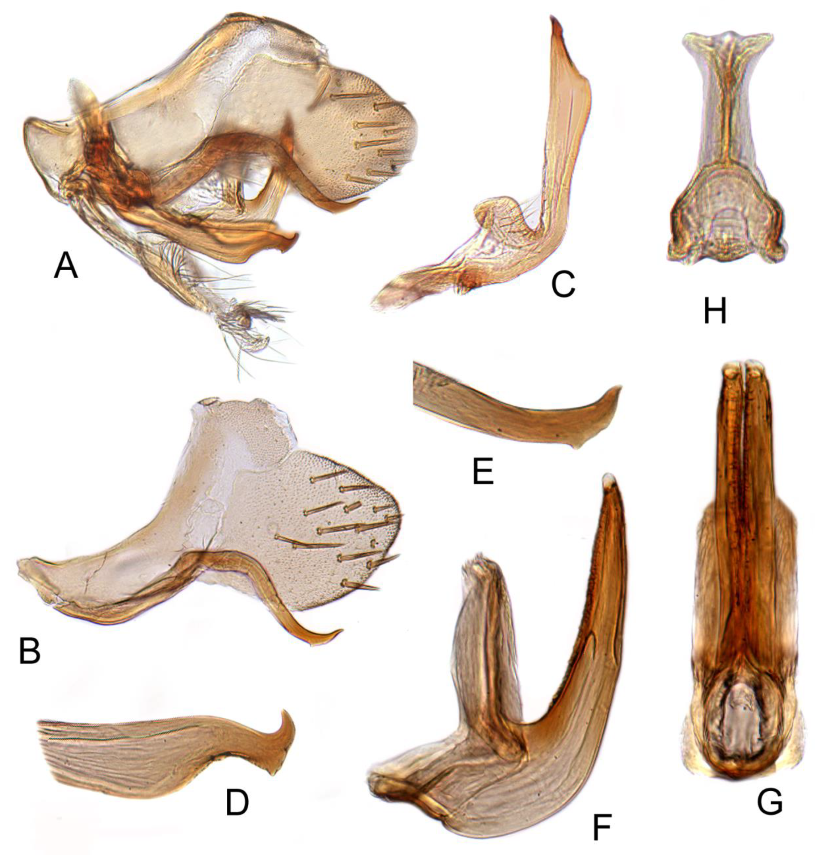 Insects 12 00494 g008 Insects 12 00494 g008