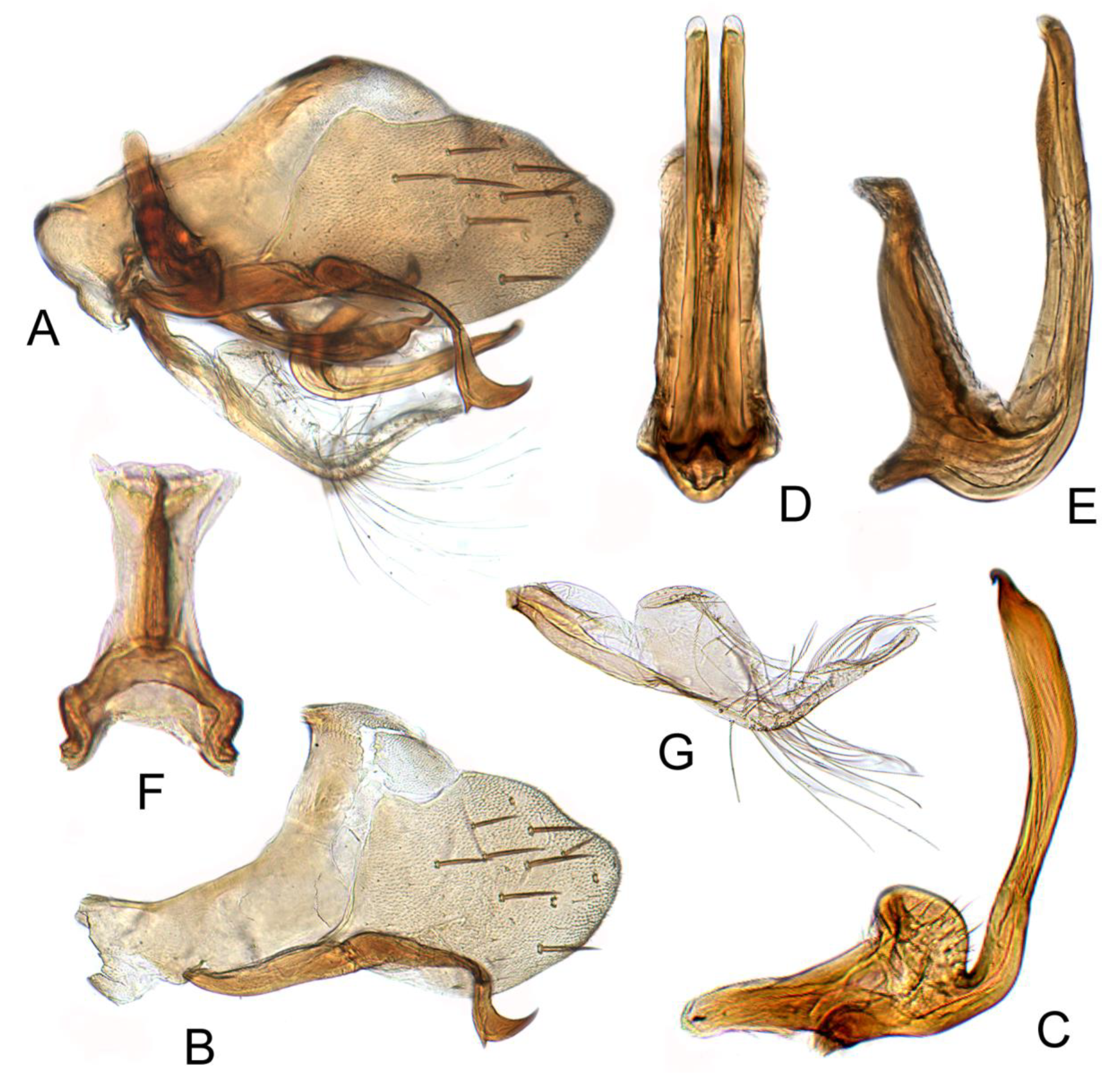 Insects 12 00494 g009 Insects 12 00494 g009