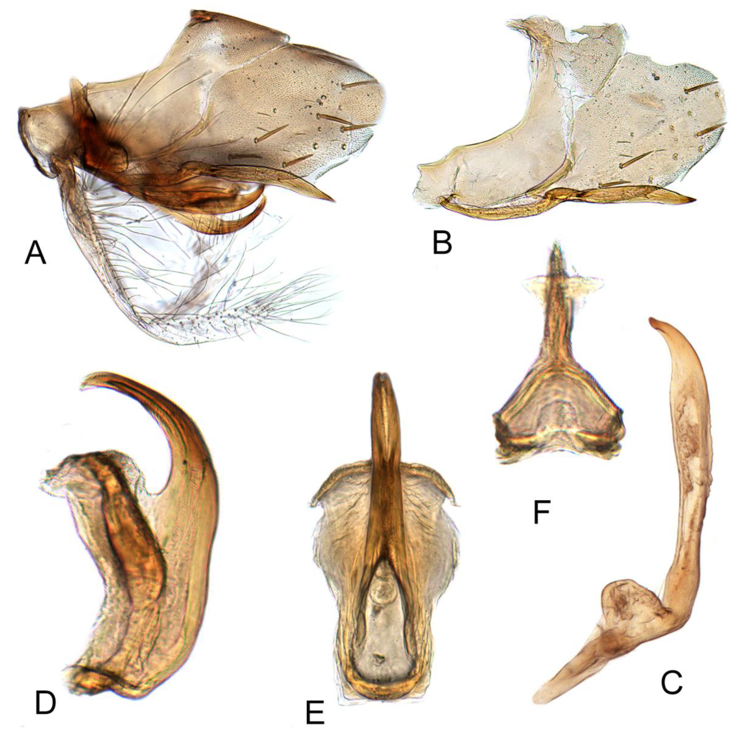 Insects 12 00494 g010 Insects 12 00494 g010