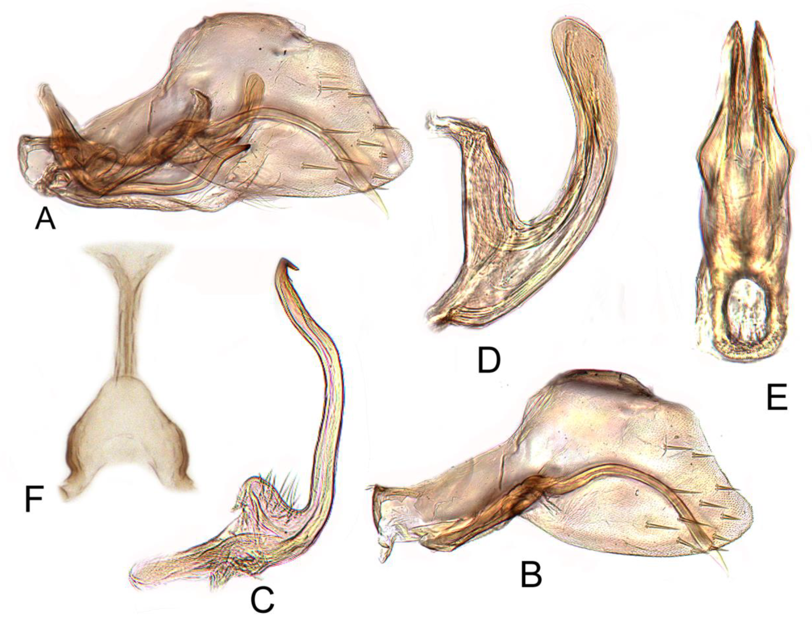 Insects 12 00494 g011 Insects 12 00494 g011