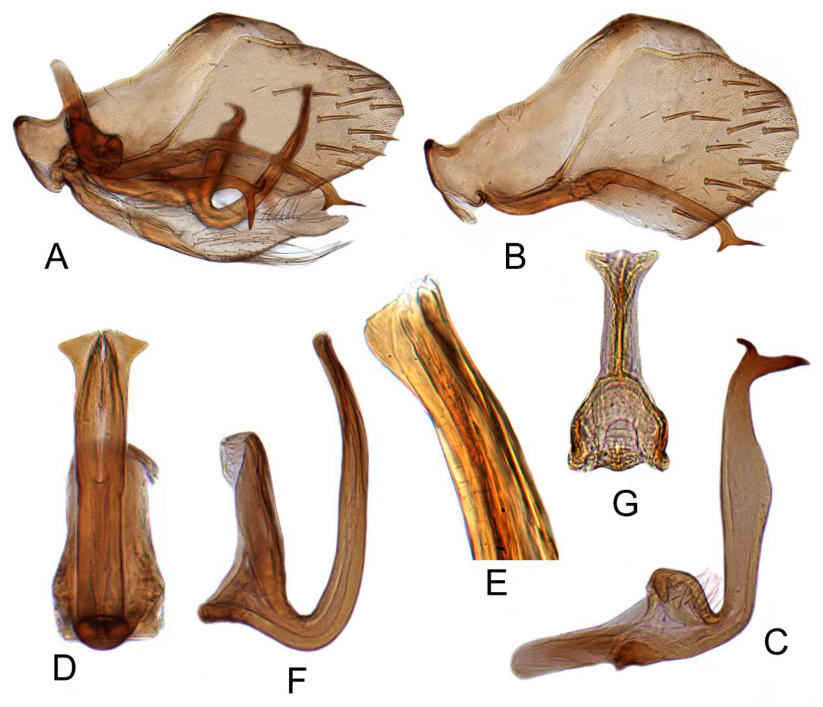 Insects 12 00494 g012 Insects 12 00494 g012