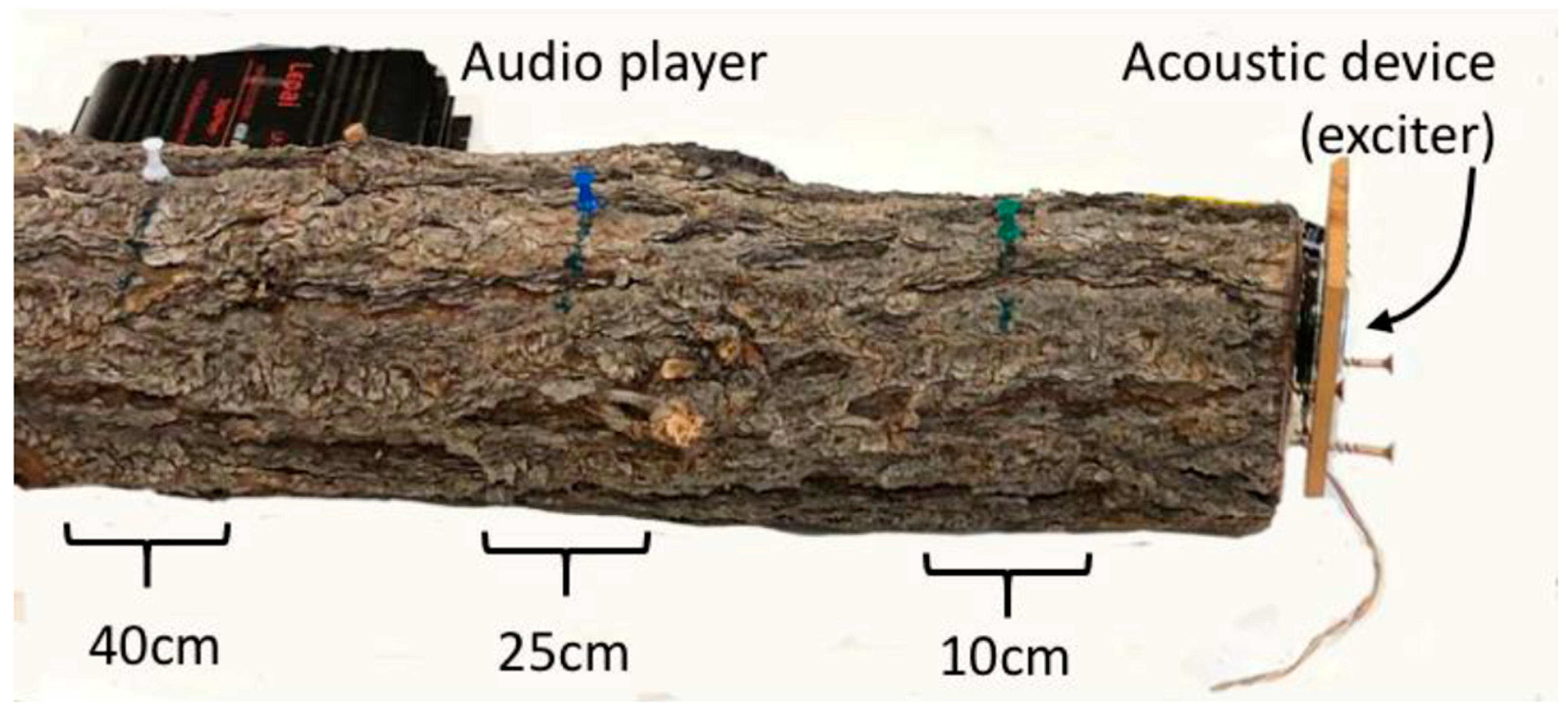 Insects 12 00496 g004 Insects 12 00496 g004