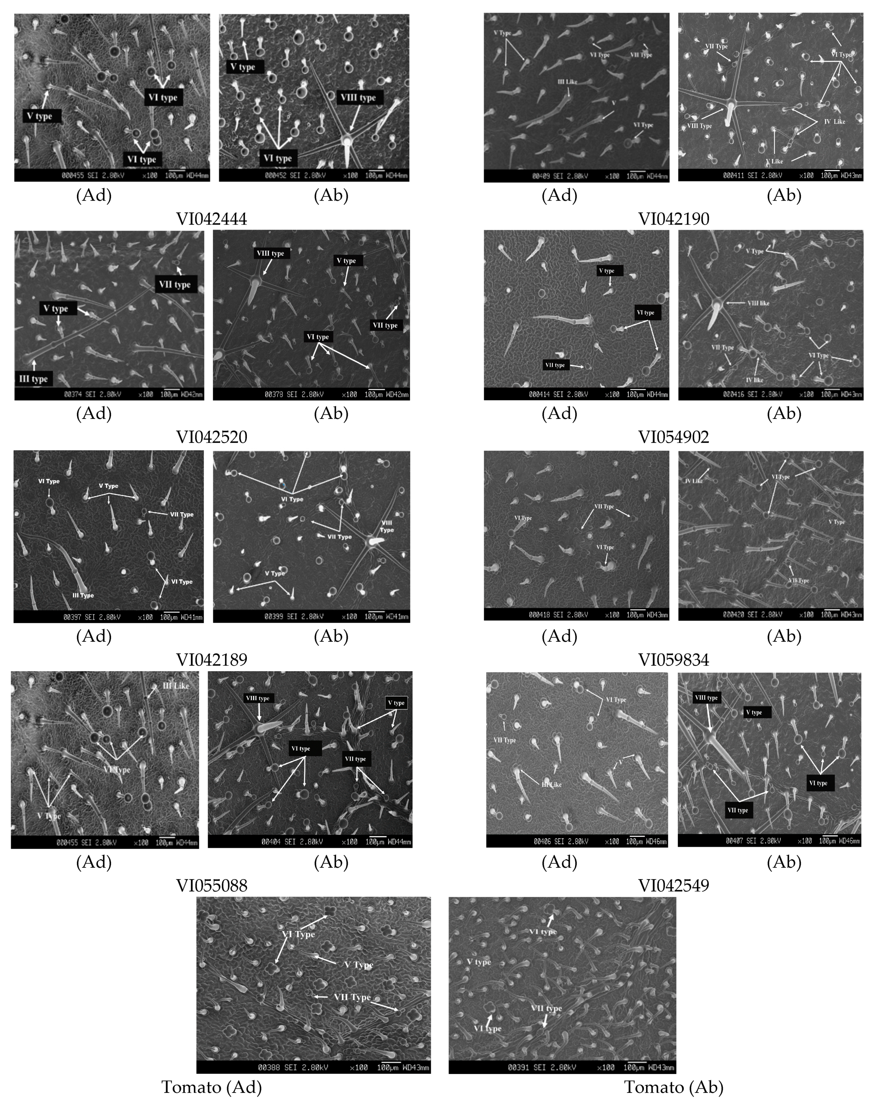Insects 12 00506 g004 Insects 12 00506 g004