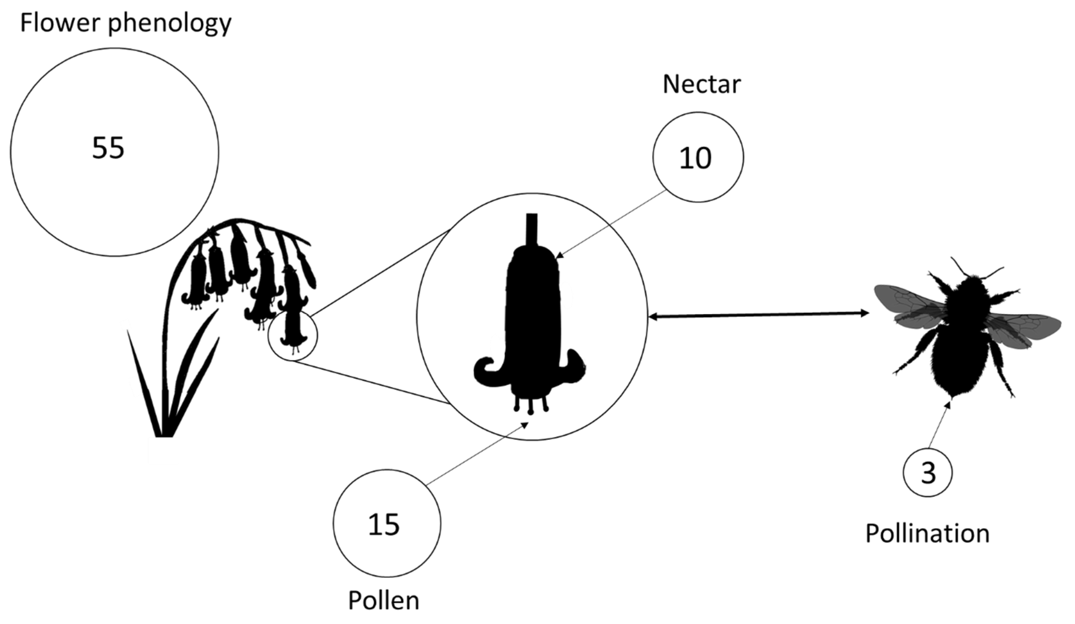 Insects 12 00512 g001 Insects 12 00512 g001