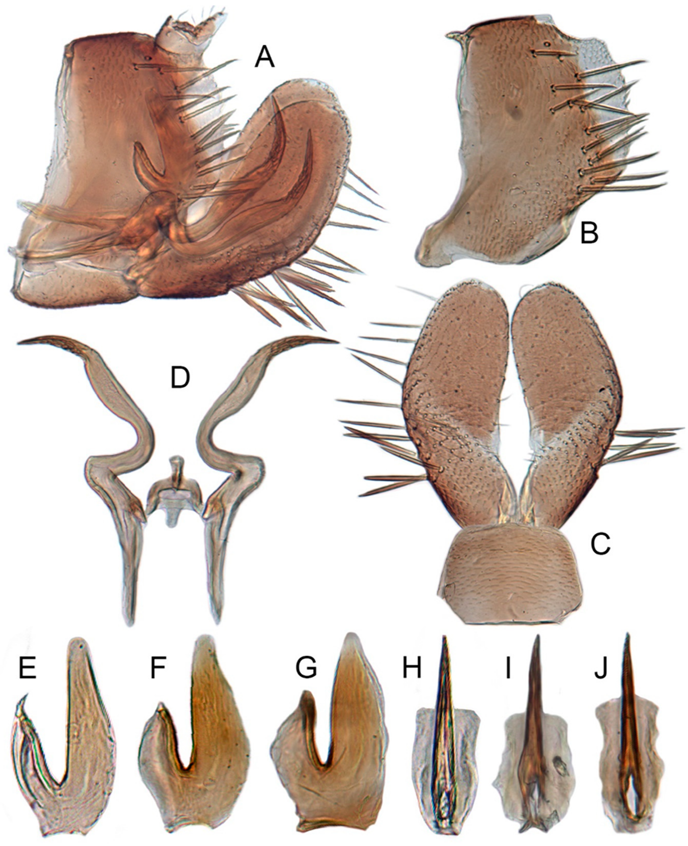 Insects 12 00514 g007