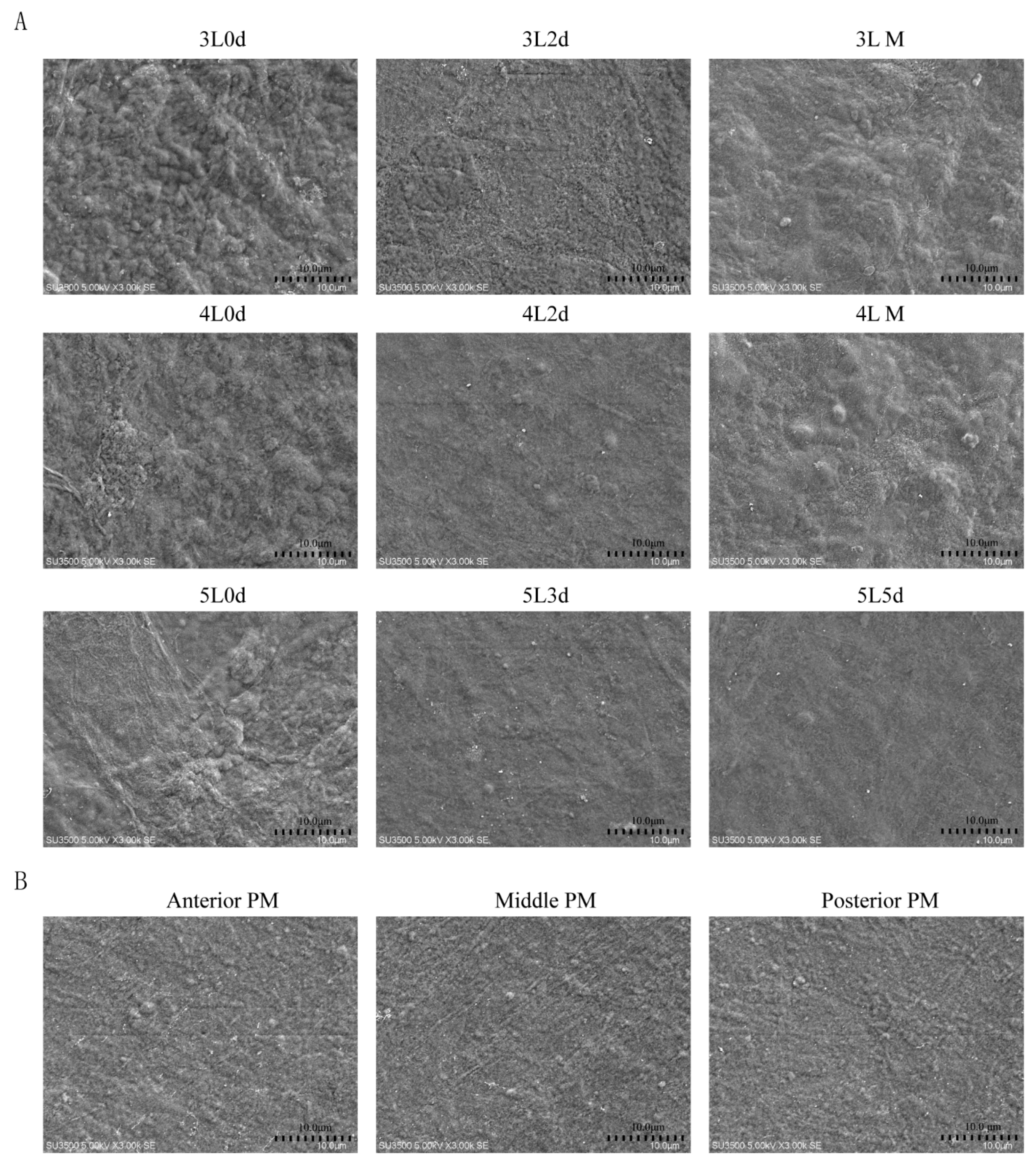 Insects 12 00516 g002 Insects 12 00516 g002