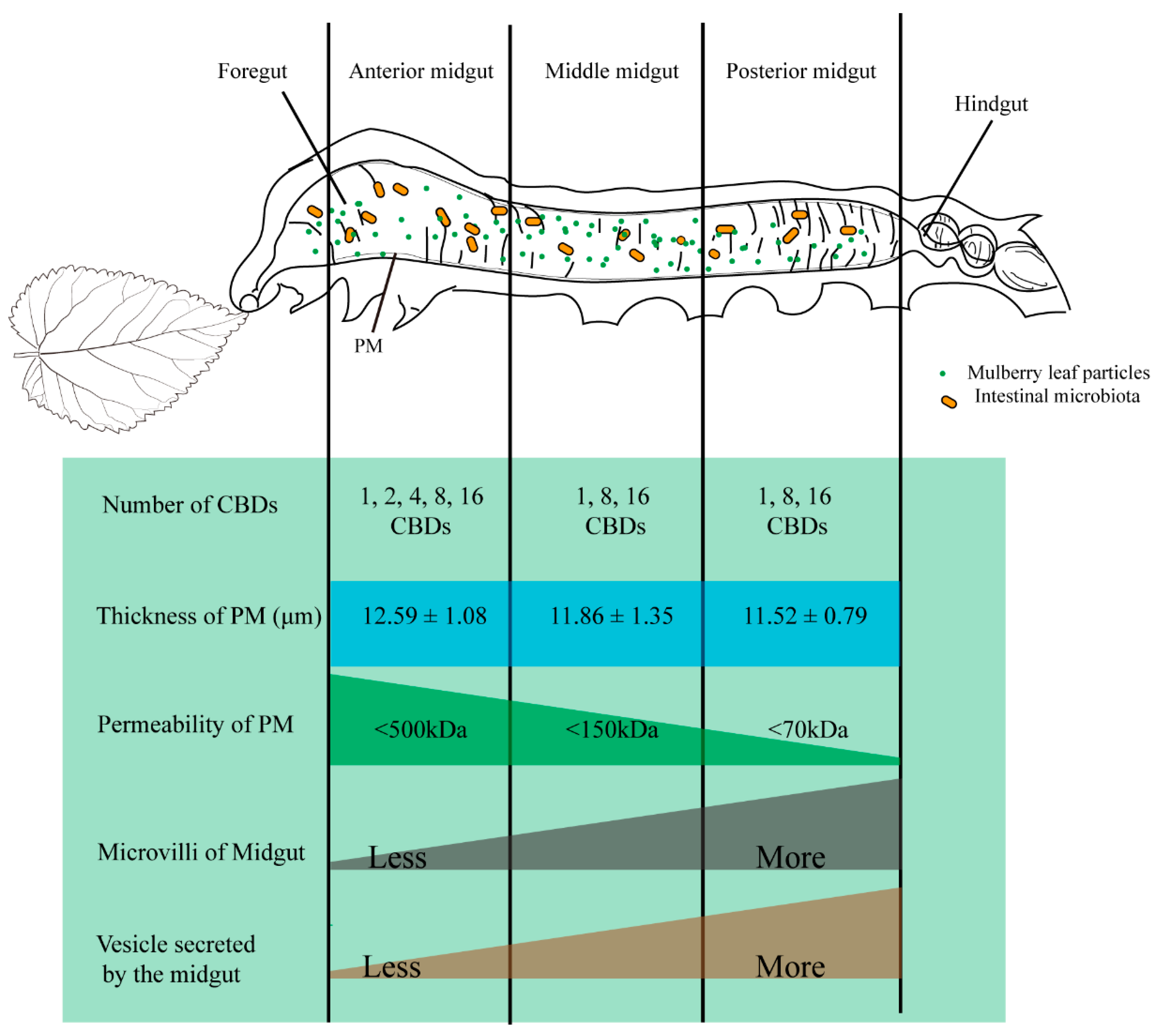 Insects 12 00516 g005 Insects 12 00516 g005