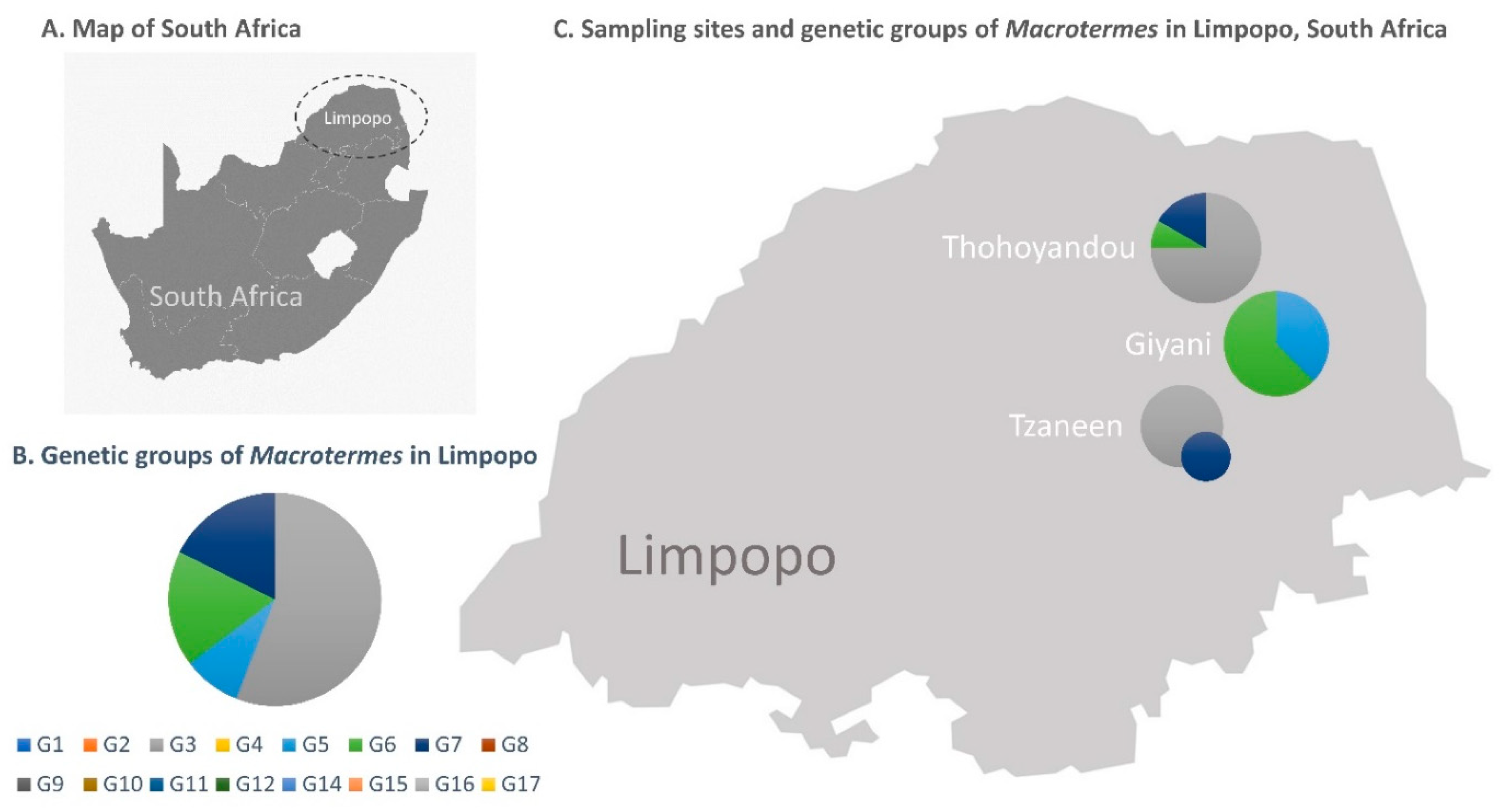 Insects 12 00518 g001
