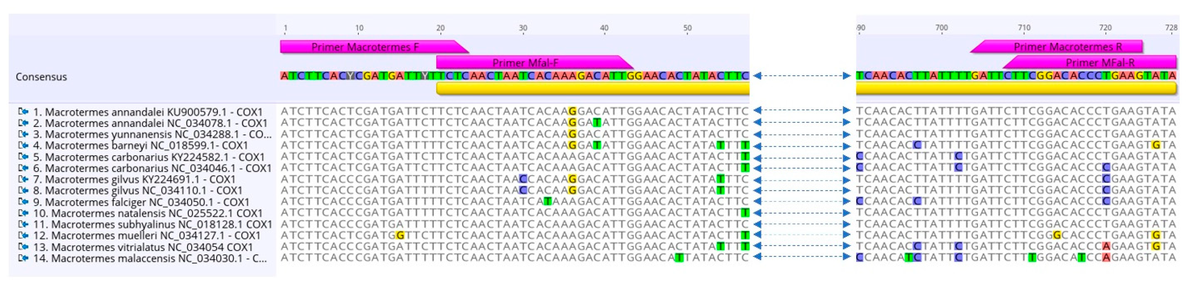 Insects 12 00518 g006