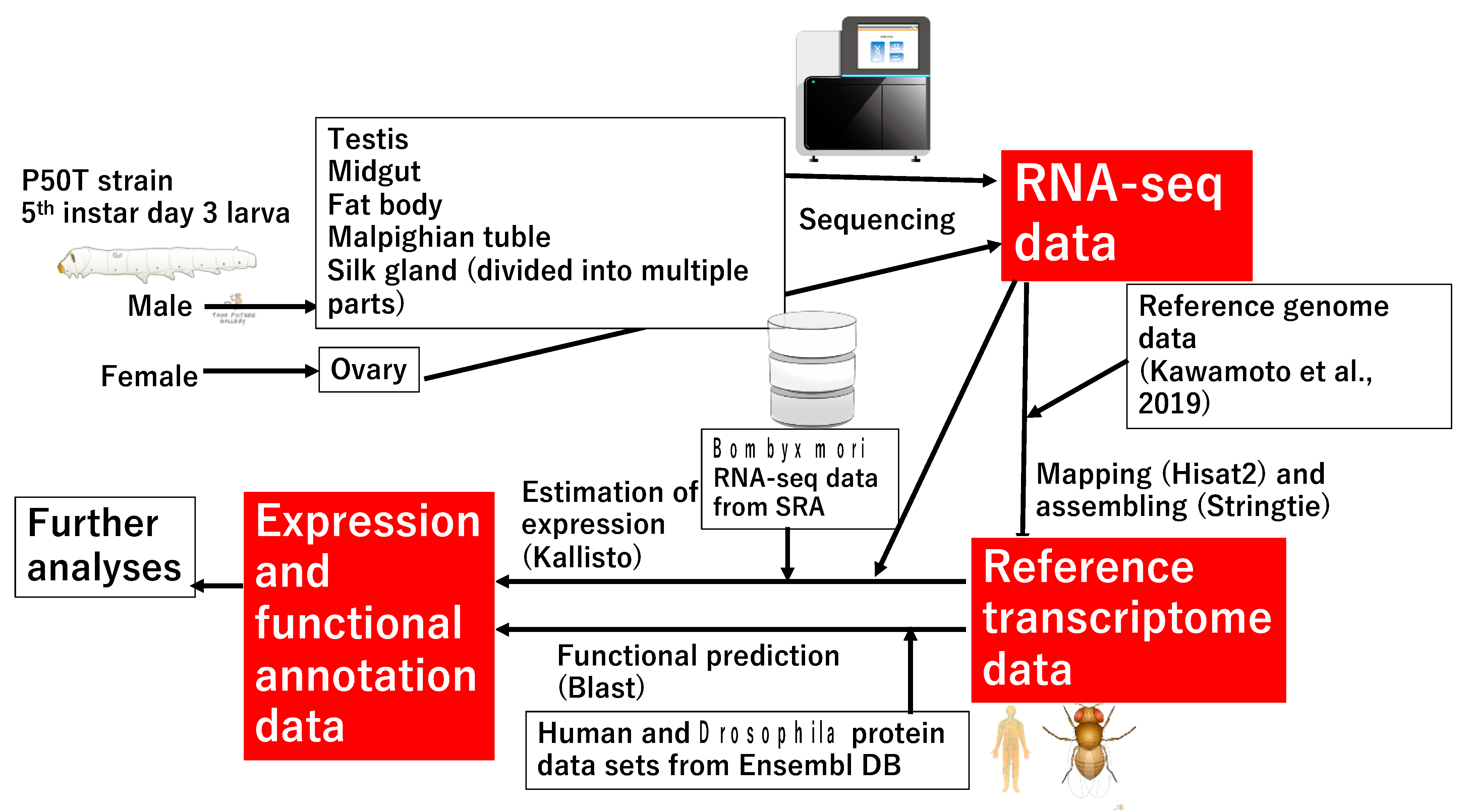 Insects 12 00519 g001 Insects 12 00519 g001