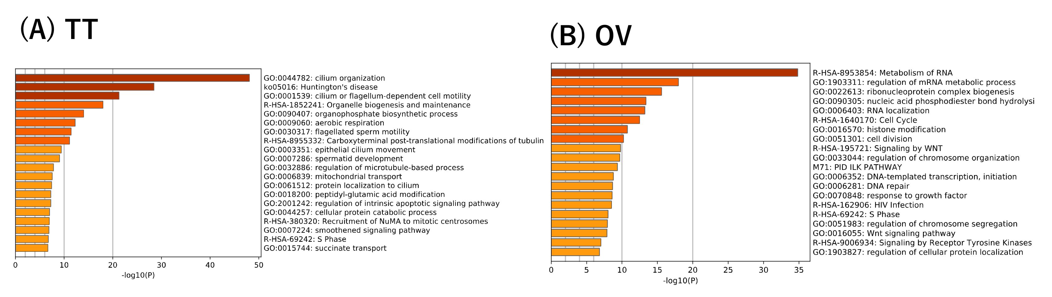 Insects 12 00519 g006 Insects 12 00519 g006