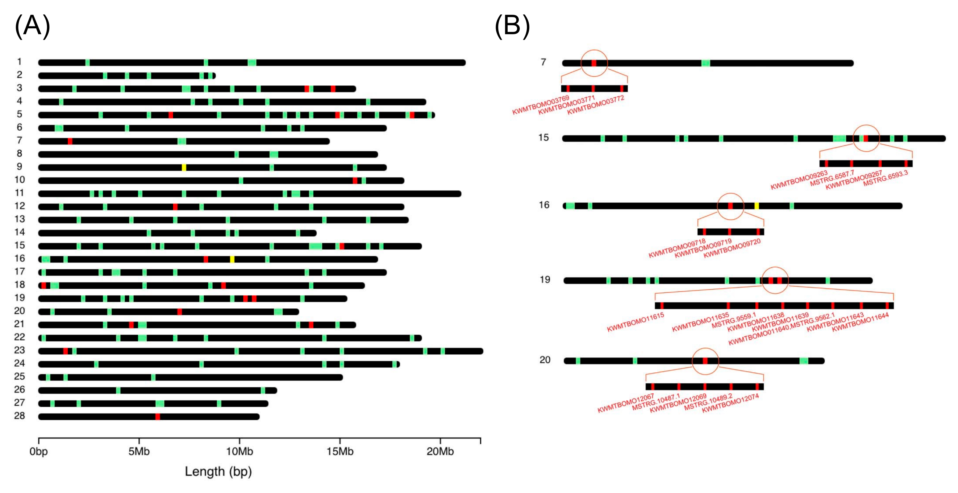 Insects 12 00519 g008 Insects 12 00519 g008