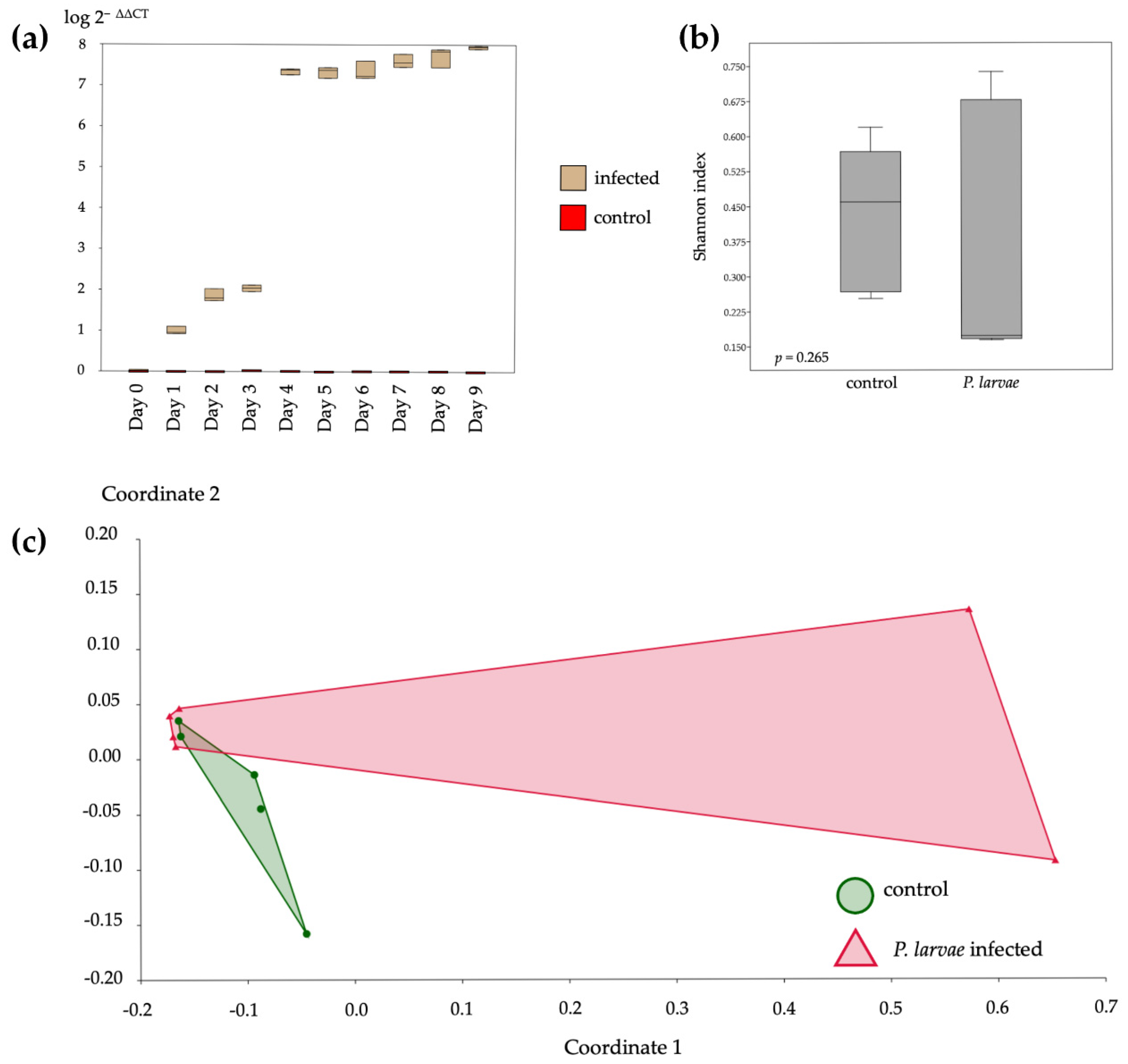 Insects 12 00525 g001