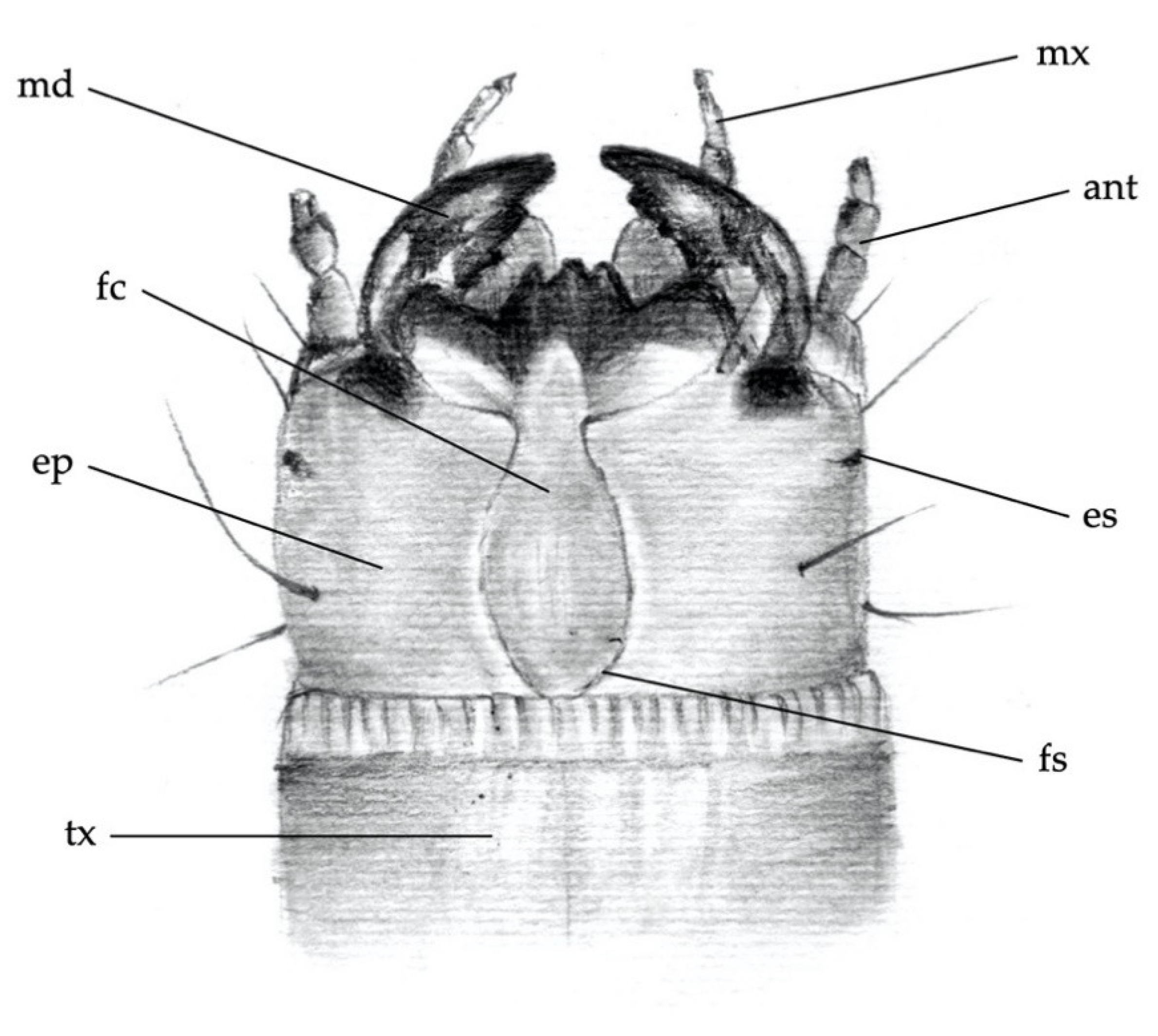 Insects 12 00534 g001 Insects 12 00534 g001