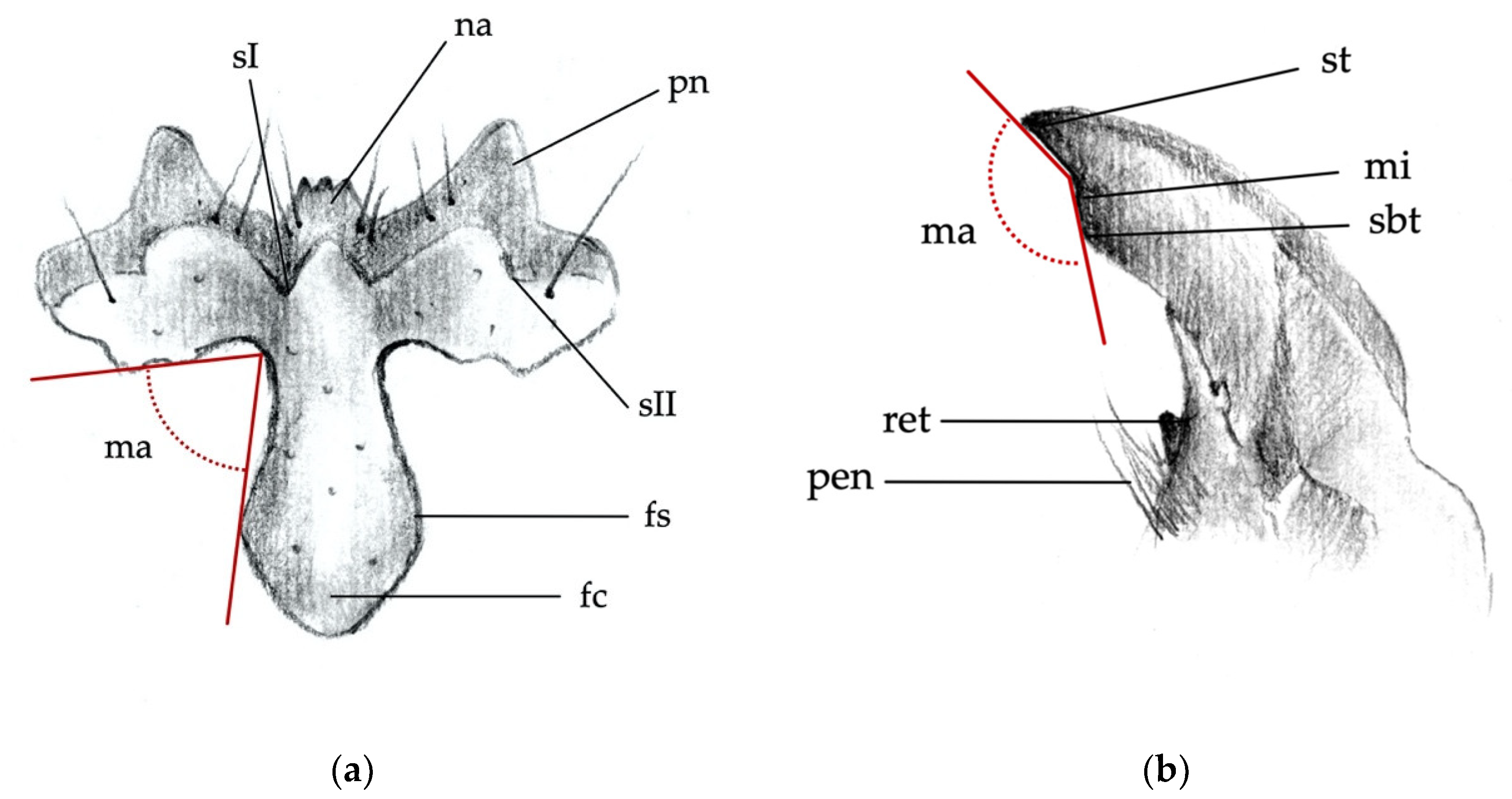 Insects 12 00534 g002 Insects 12 00534 g002