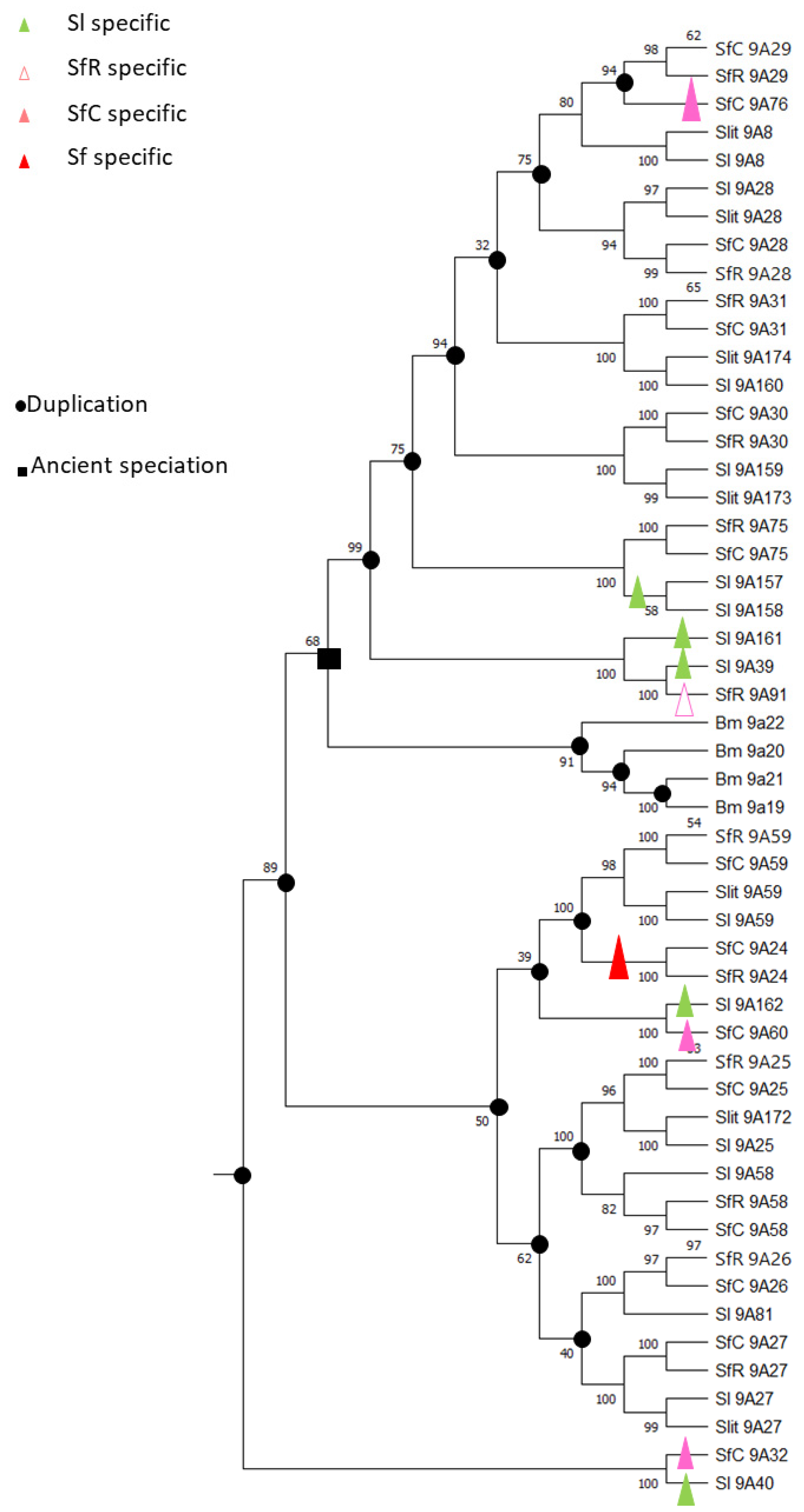 Insects 12 00544 g002 Insects 12 00544 g002