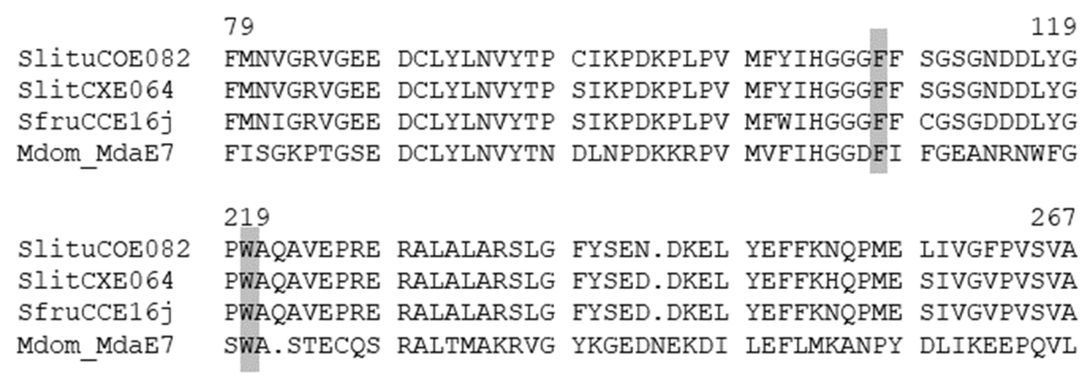 Insects 12 00544 g003 Insects 12 00544 g003