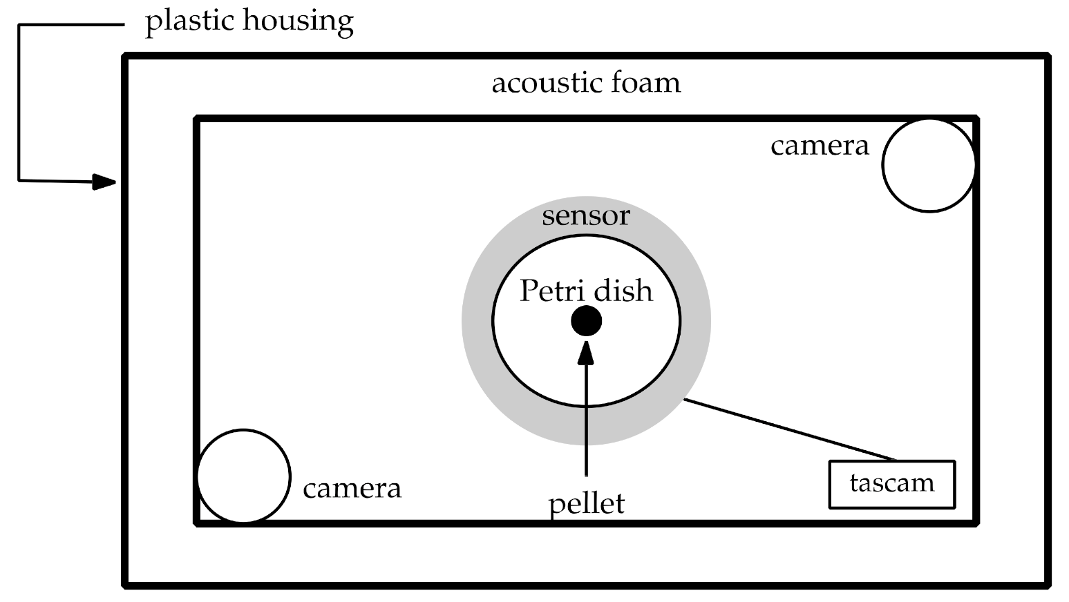 Insects 12 00548 g001
