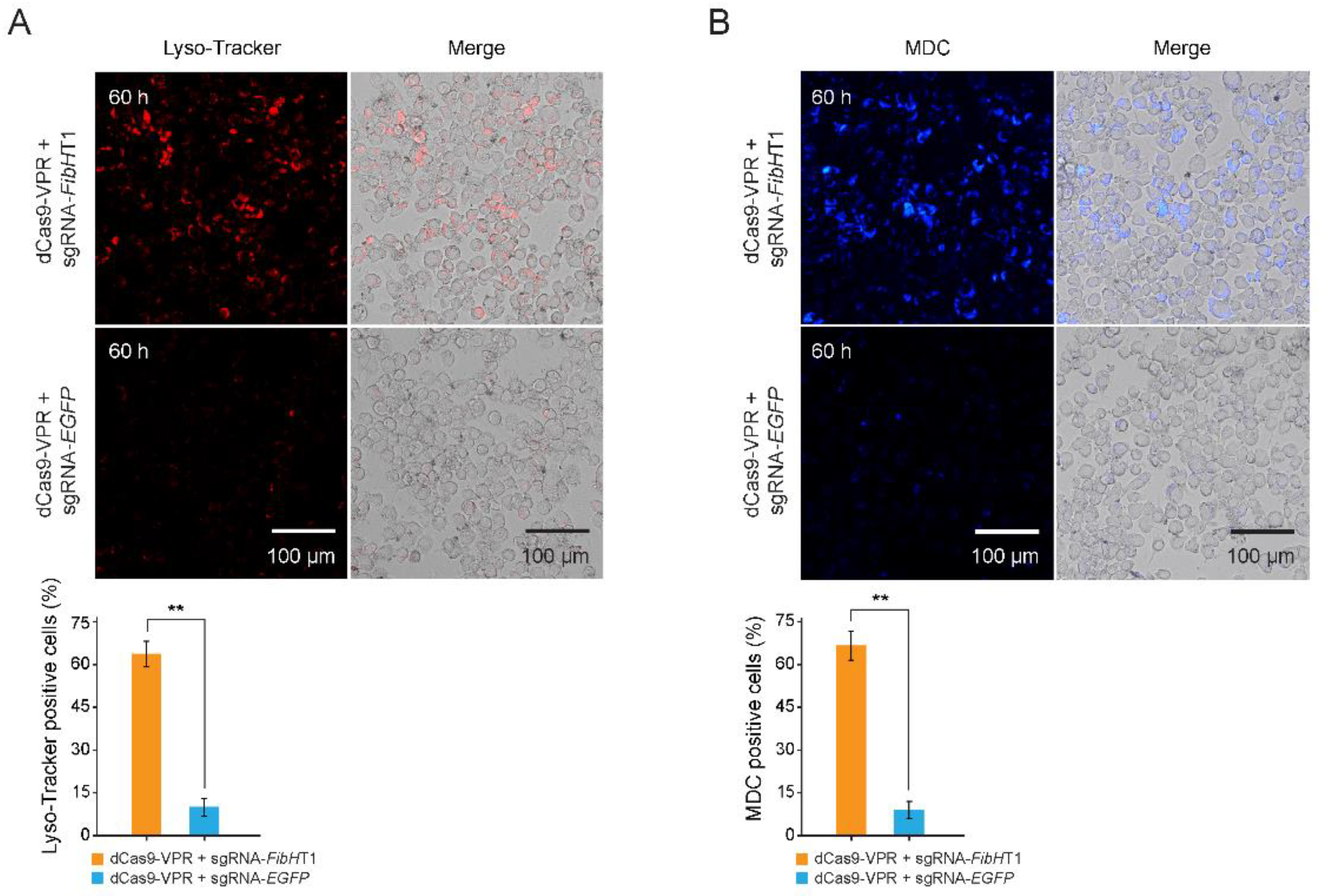 Insects 12 00552 g004 Insects 12 00552 g004