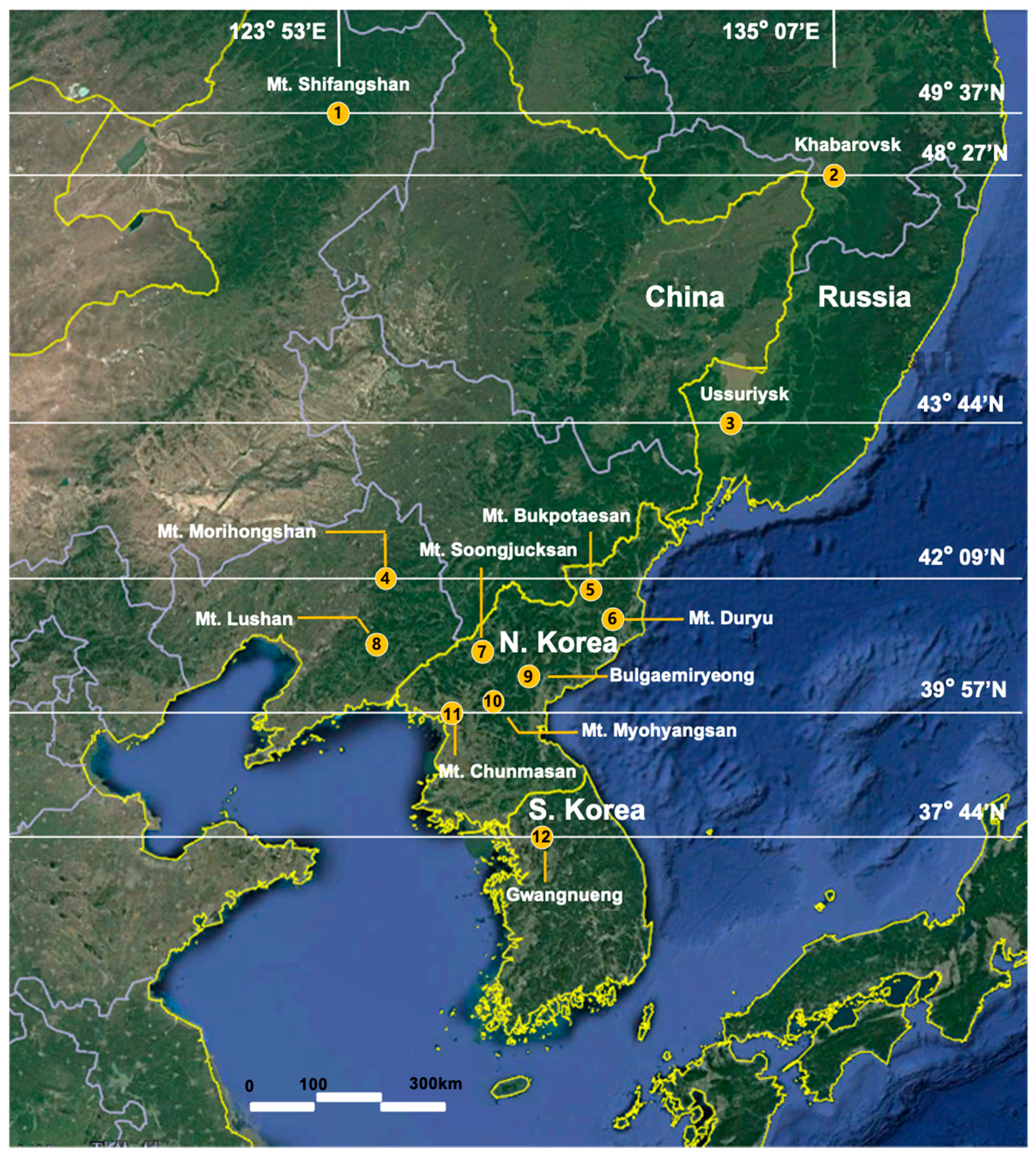 Insects 12 00555 g002