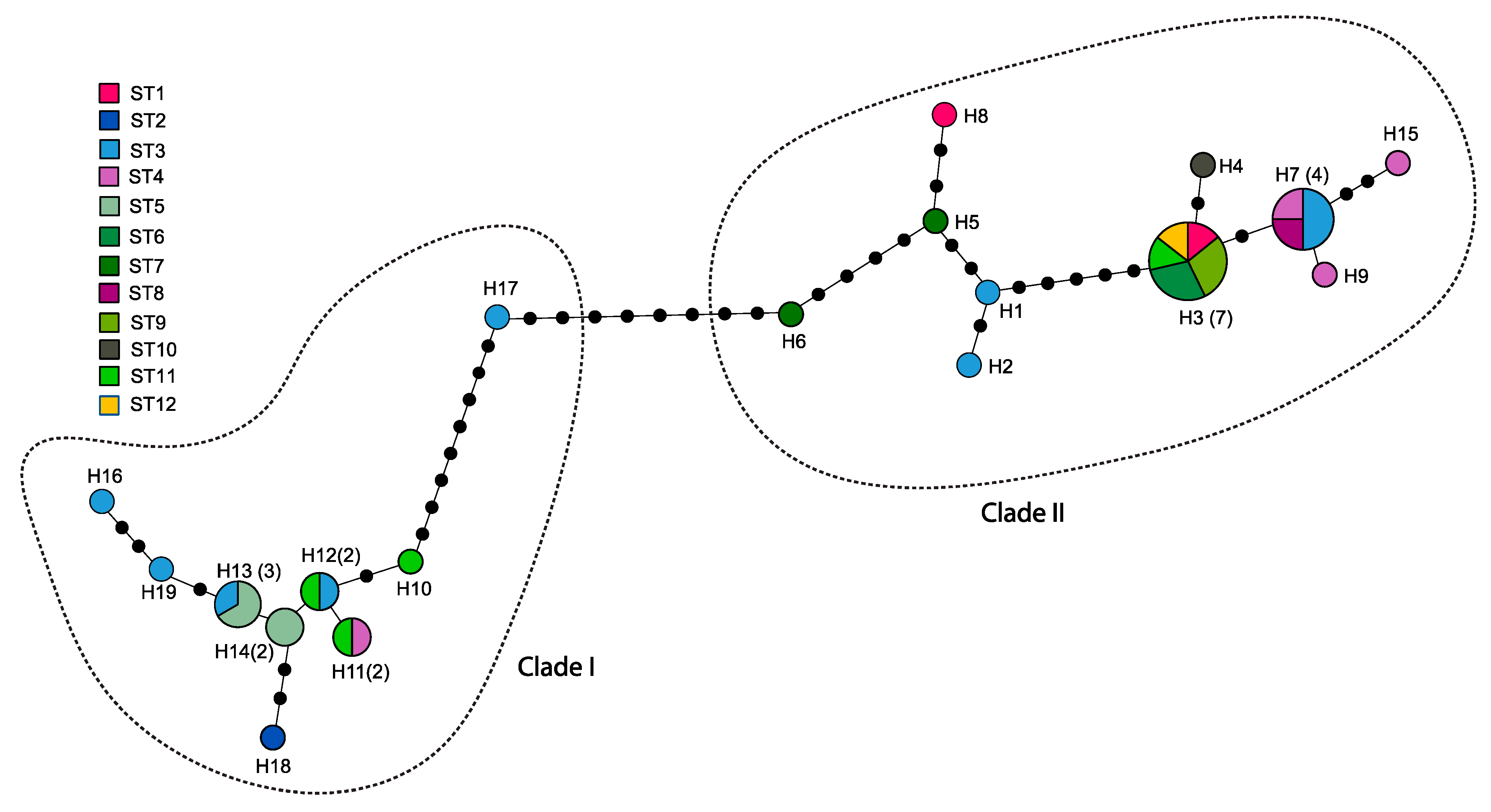 Insects 12 00555 g004