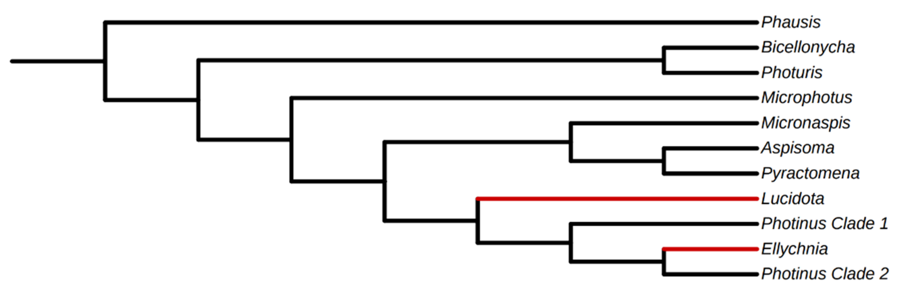 Insects 12 00561 g002 Insects 12 00561 g002