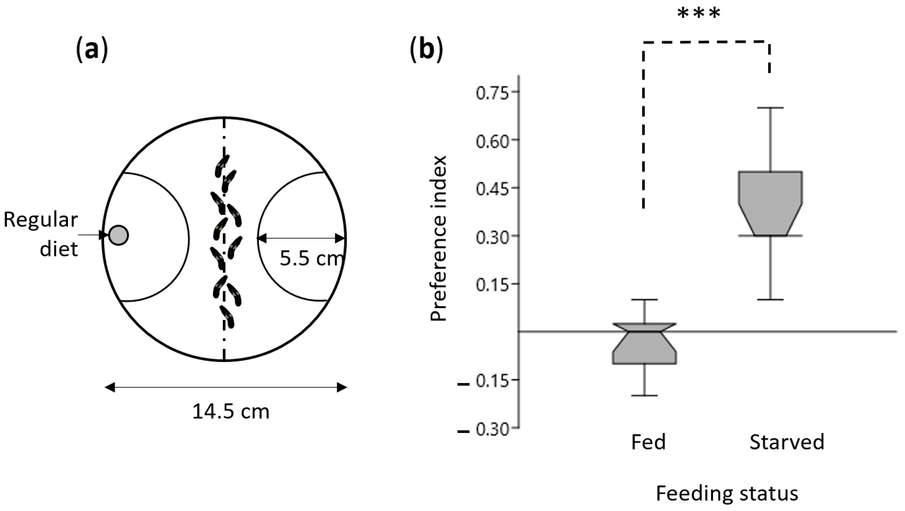 Insects 12 00573 g001 Insects 12 00573 g001