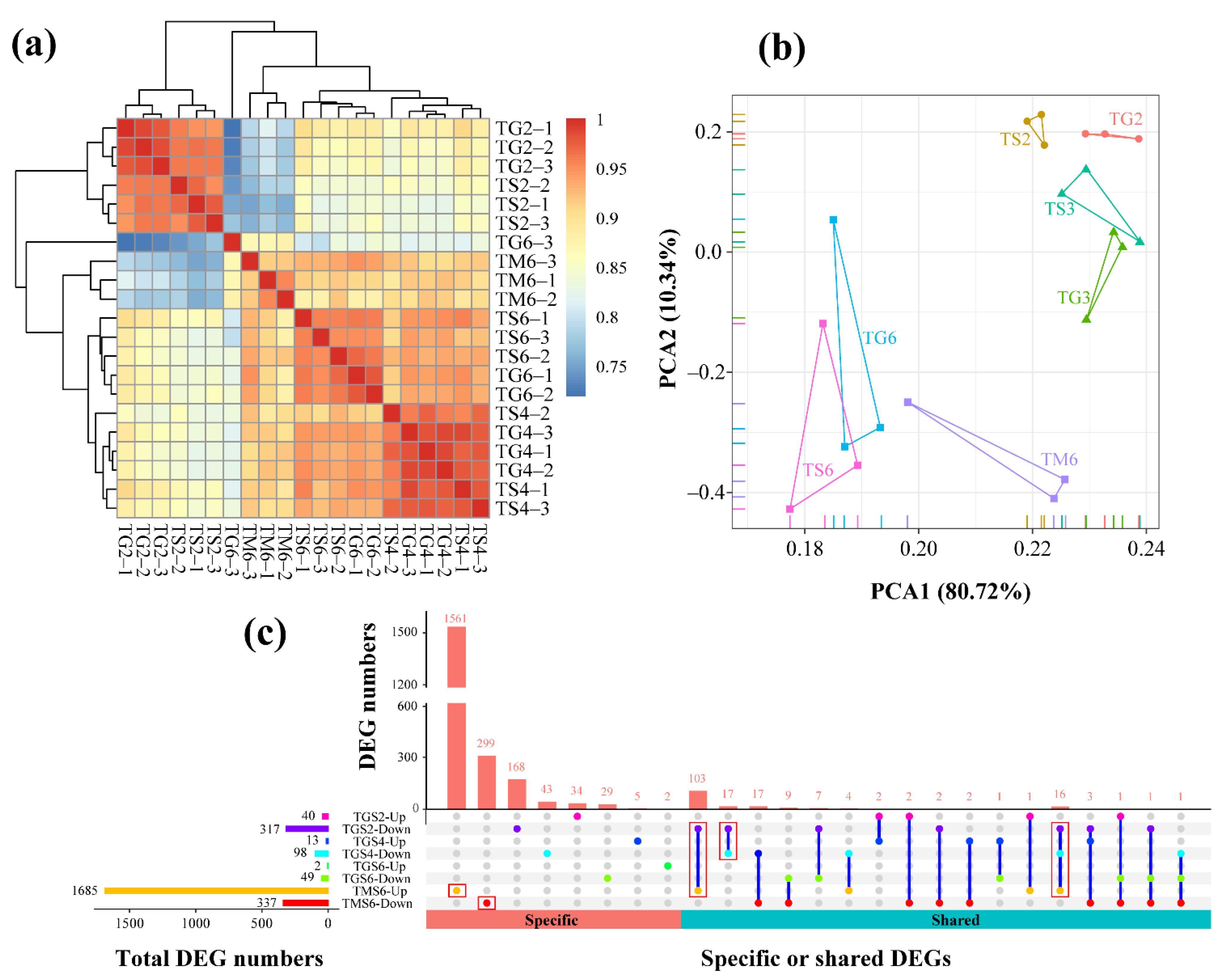 Insects 12 00577 g002 Insects 12 00577 g002