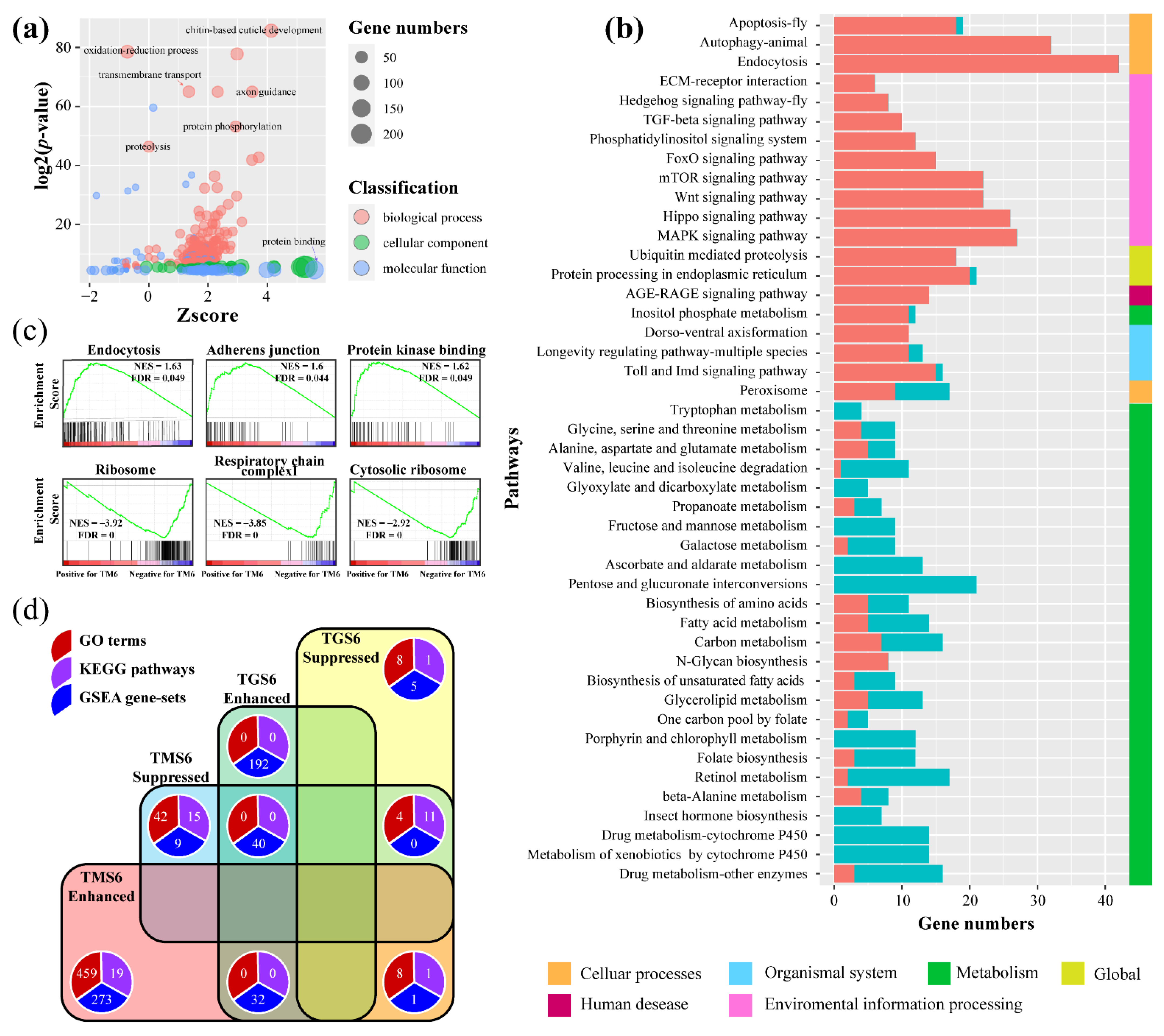 Insects 12 00577 g004 Insects 12 00577 g004