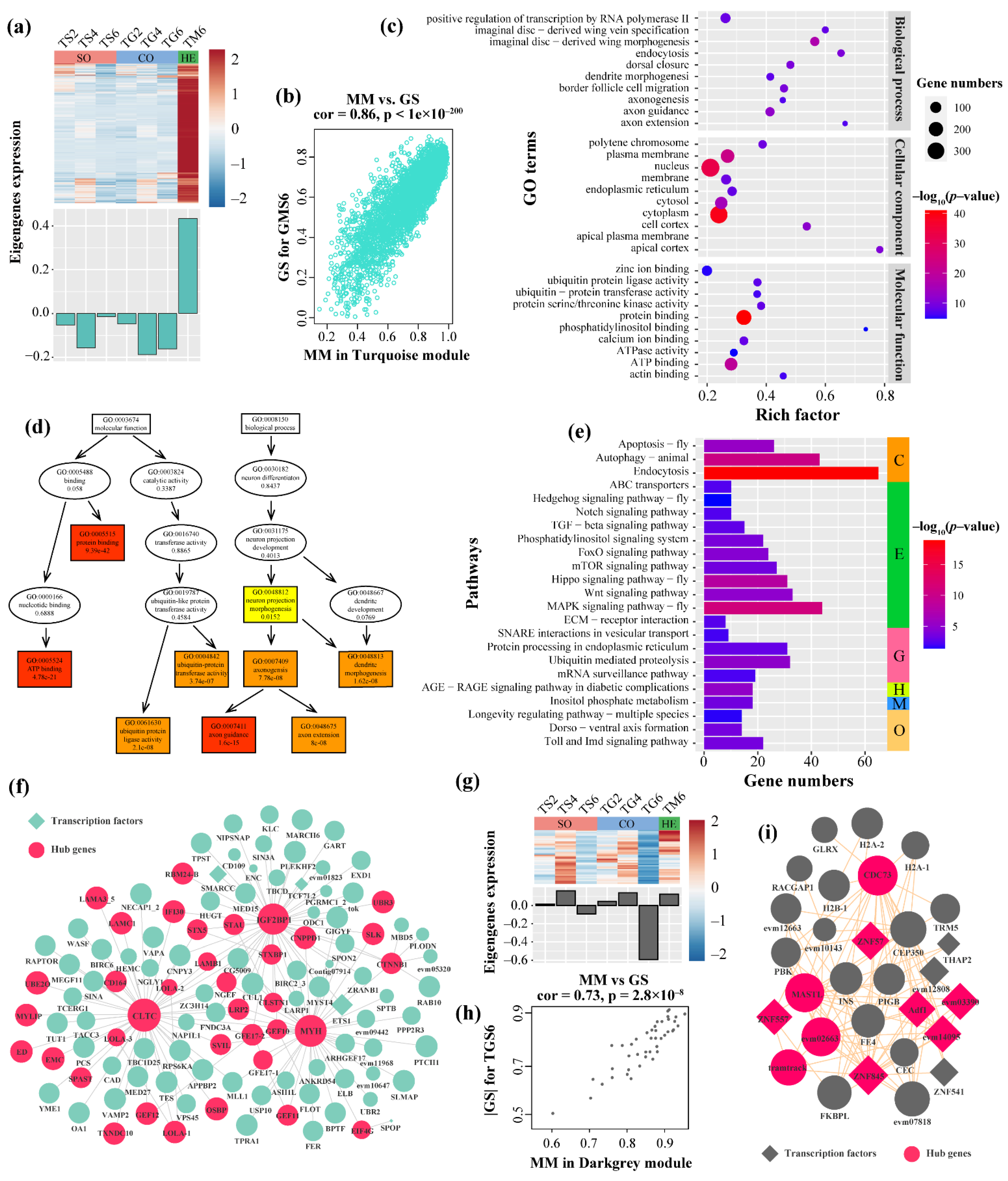 Insects 12 00577 g006 Insects 12 00577 g006