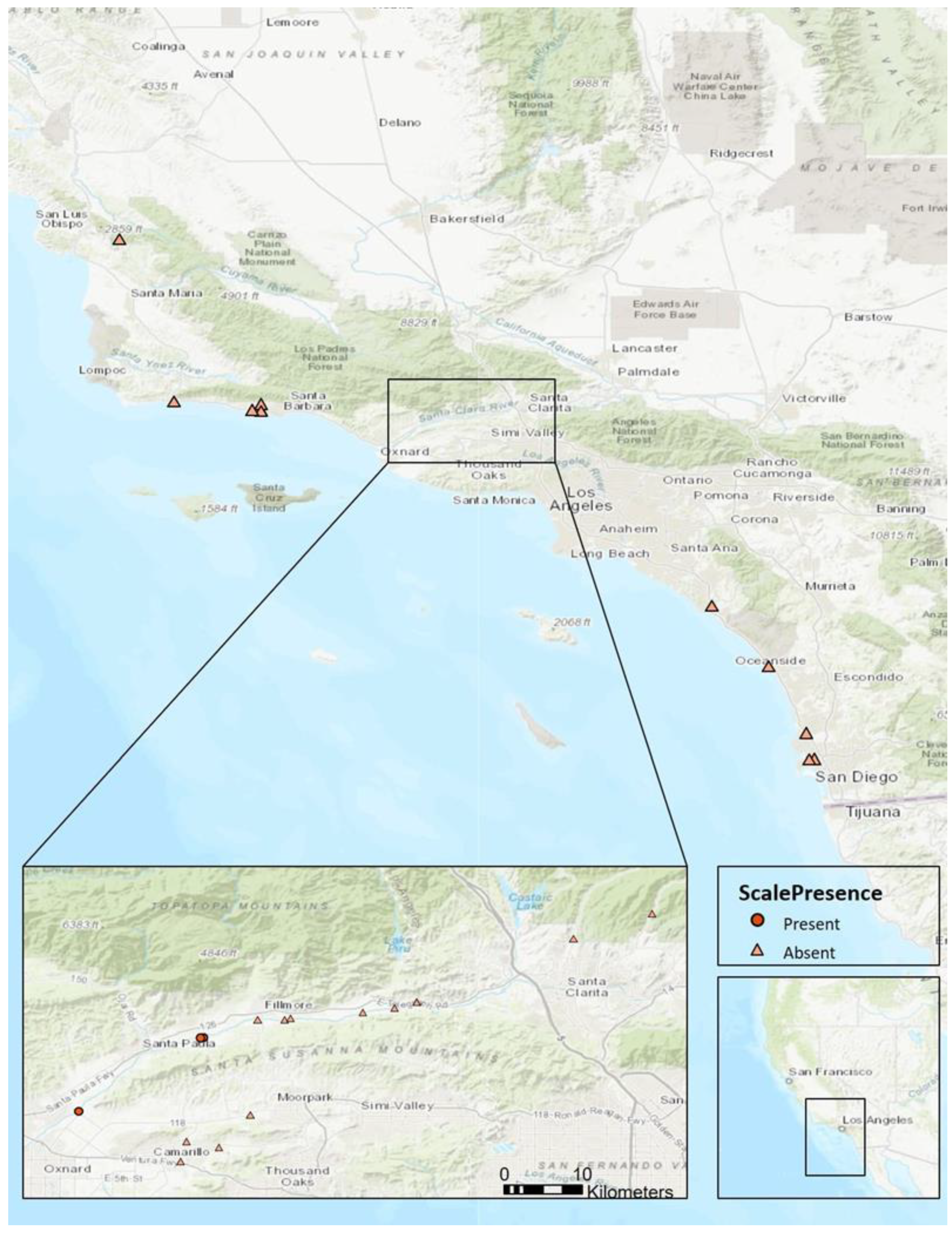 Insects 12 00588 g003