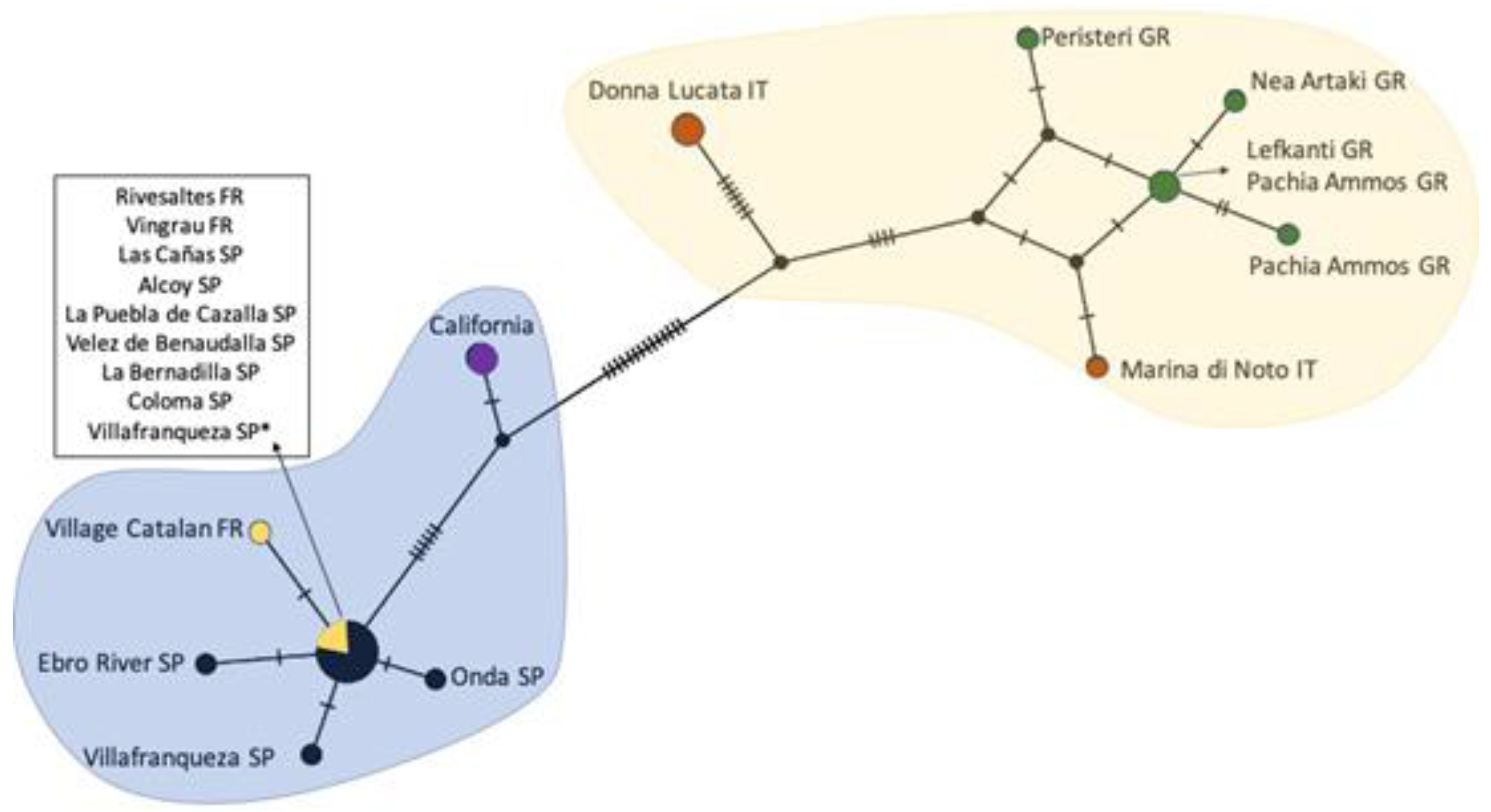 Insects 12 00588 g004