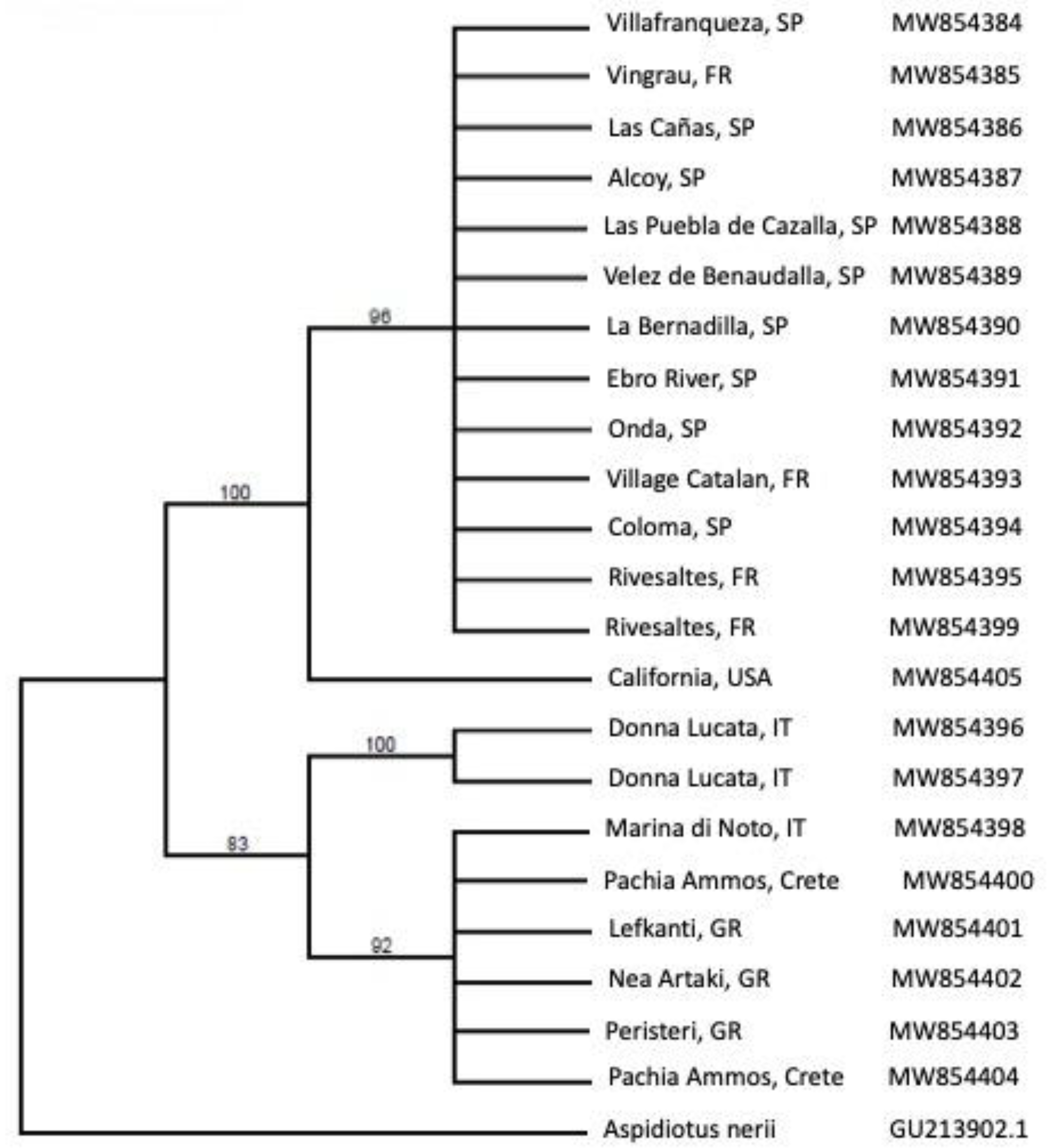 Insects 12 00588 g005
