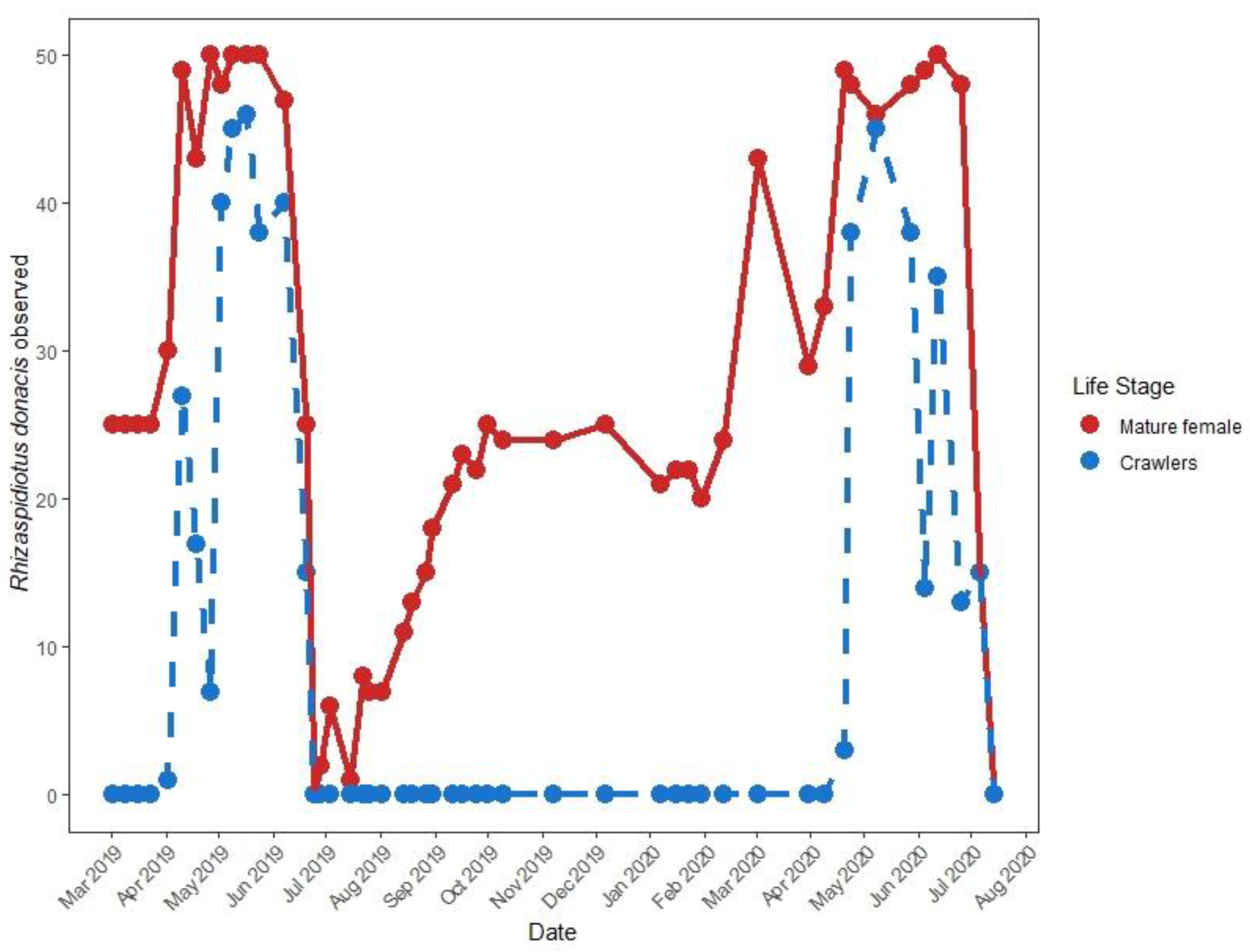 Insects 12 00588 g006