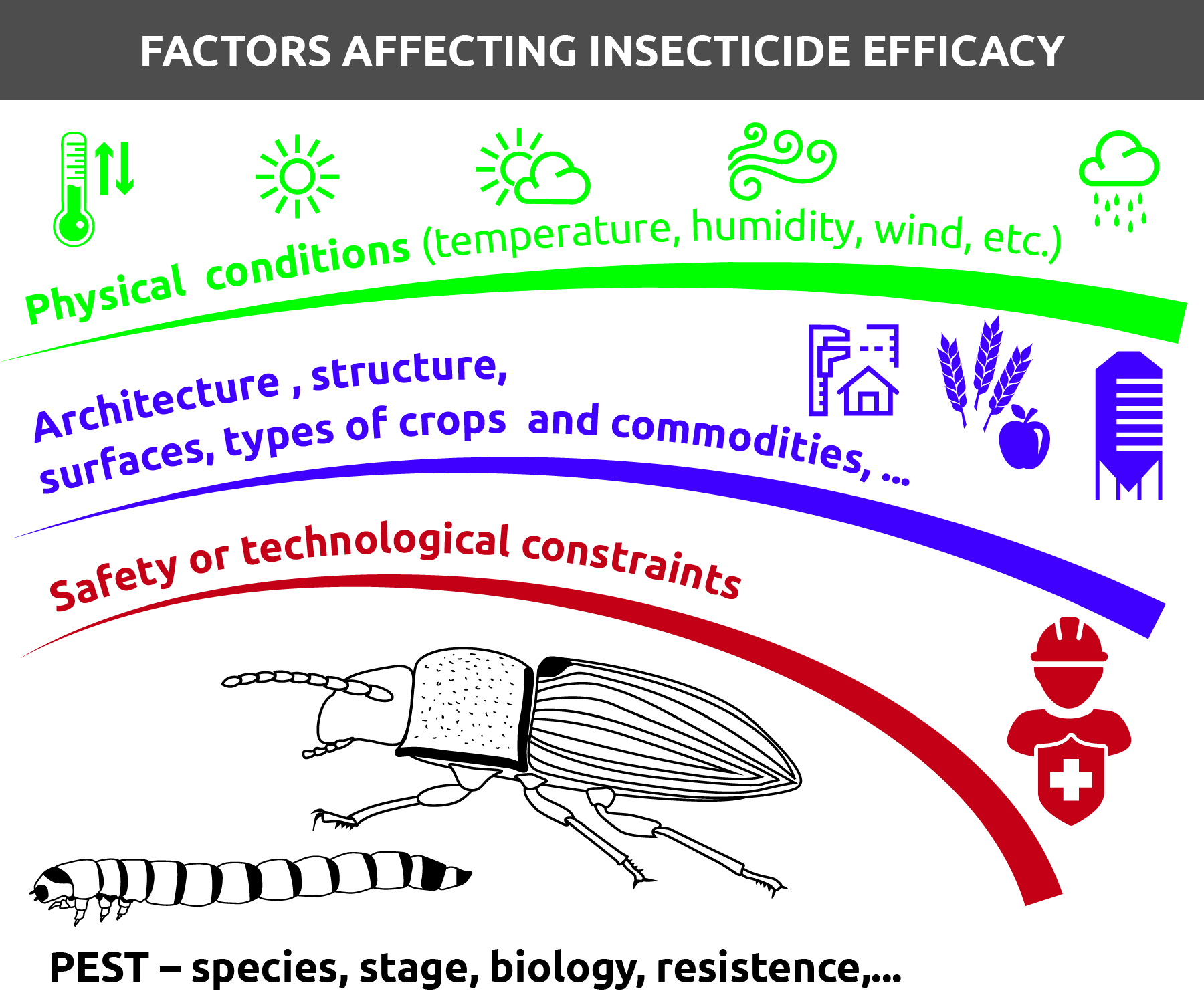 Insects Free Full Text Synthetic And Natural Insecticides Gas Liquid Gel And Solid Formulations For Stored Product And Food Industry Pest Control Html