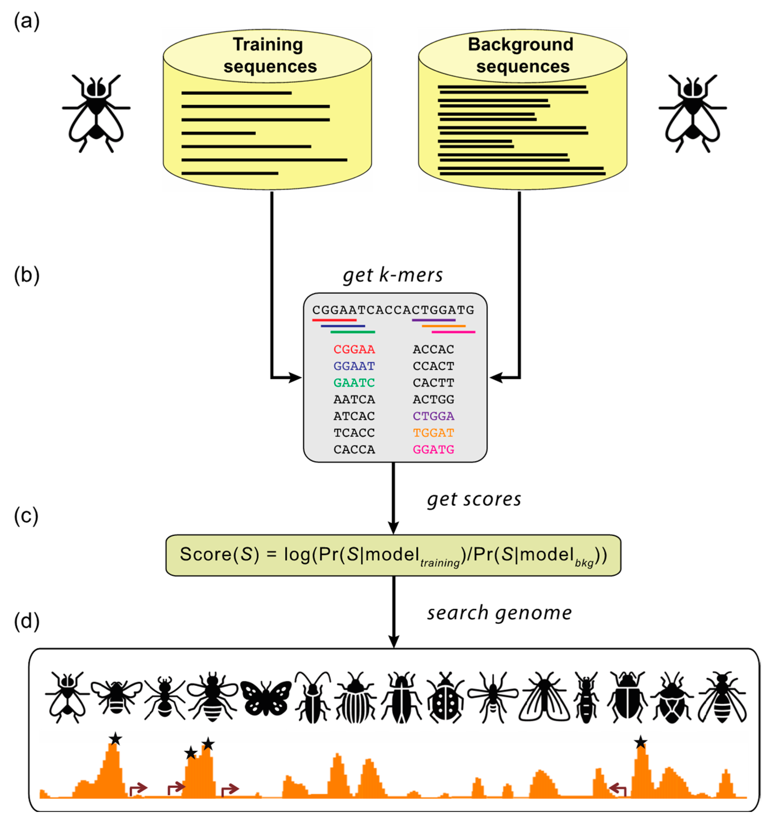 Insects 12 00591 g002 Insects 12 00591 g002