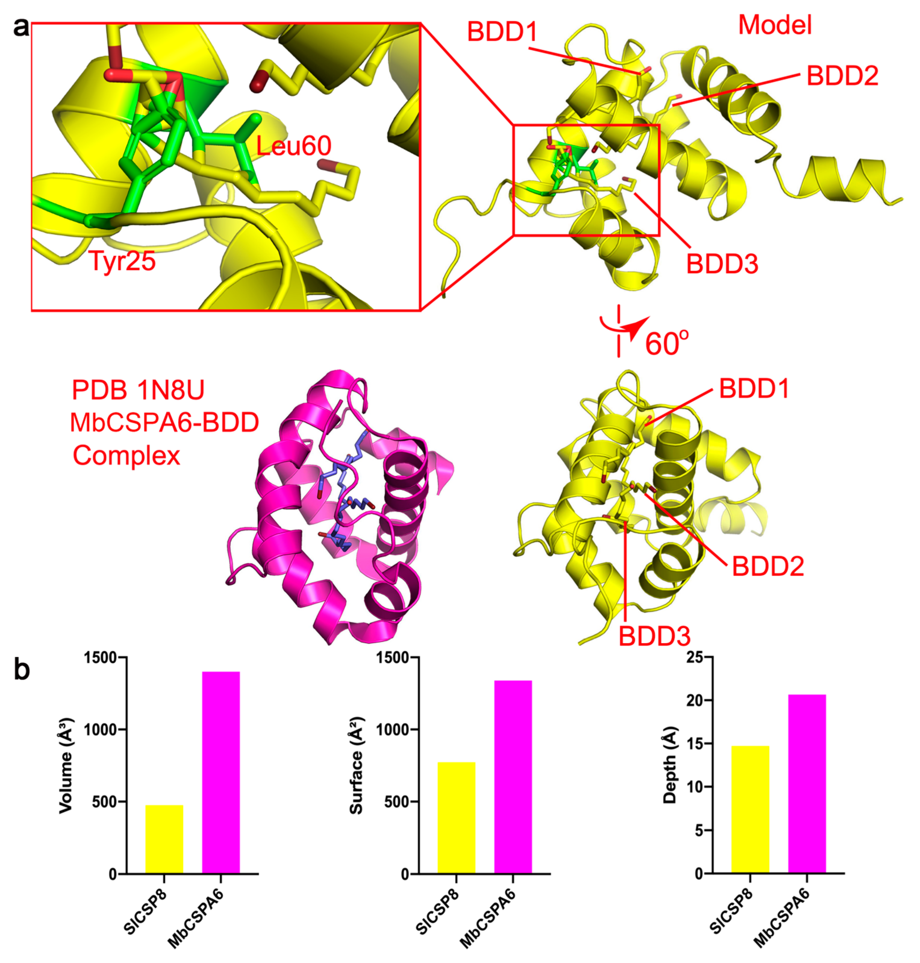 Insects 12 00602 g004