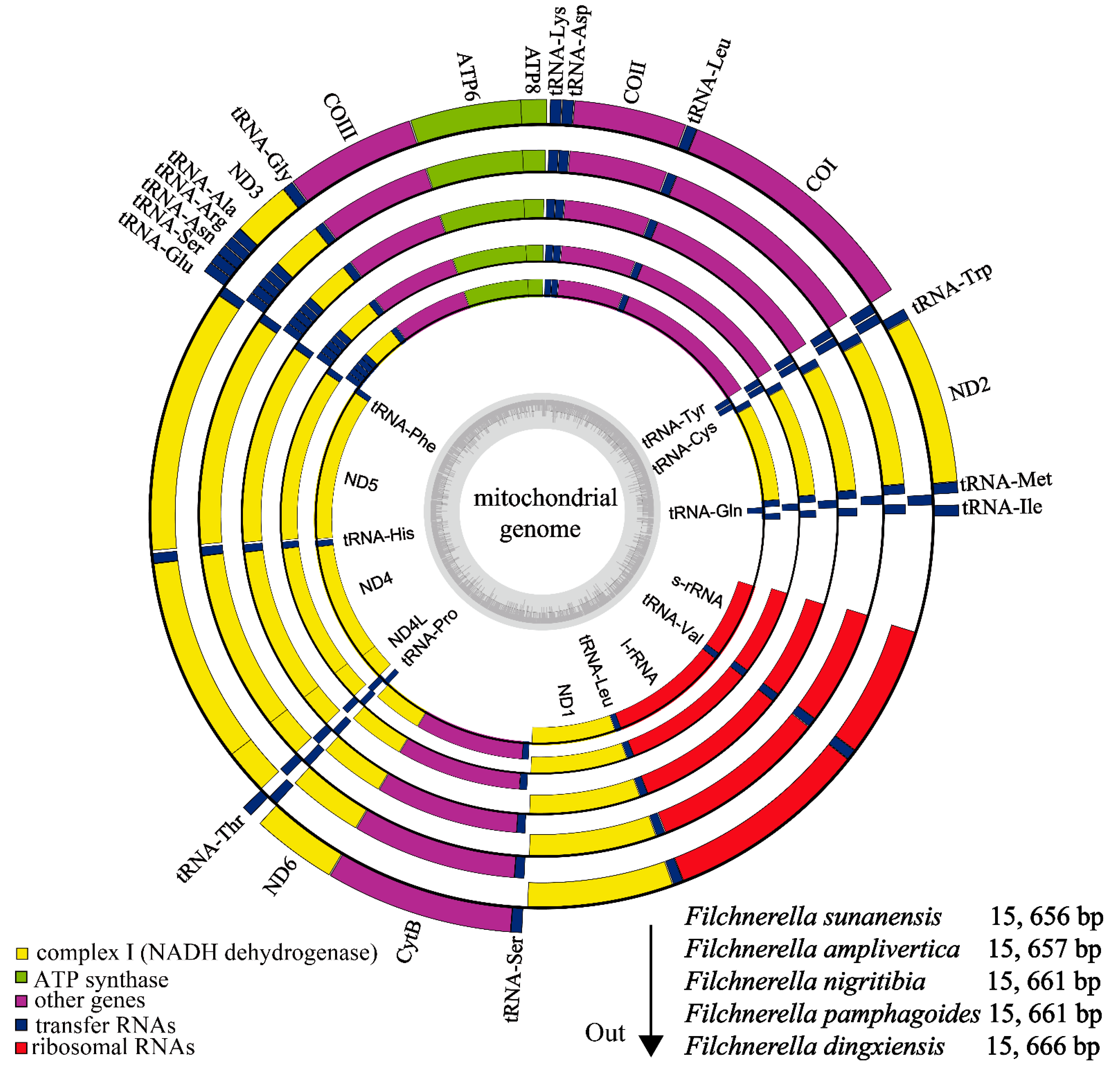 Insects 12 00605 g001