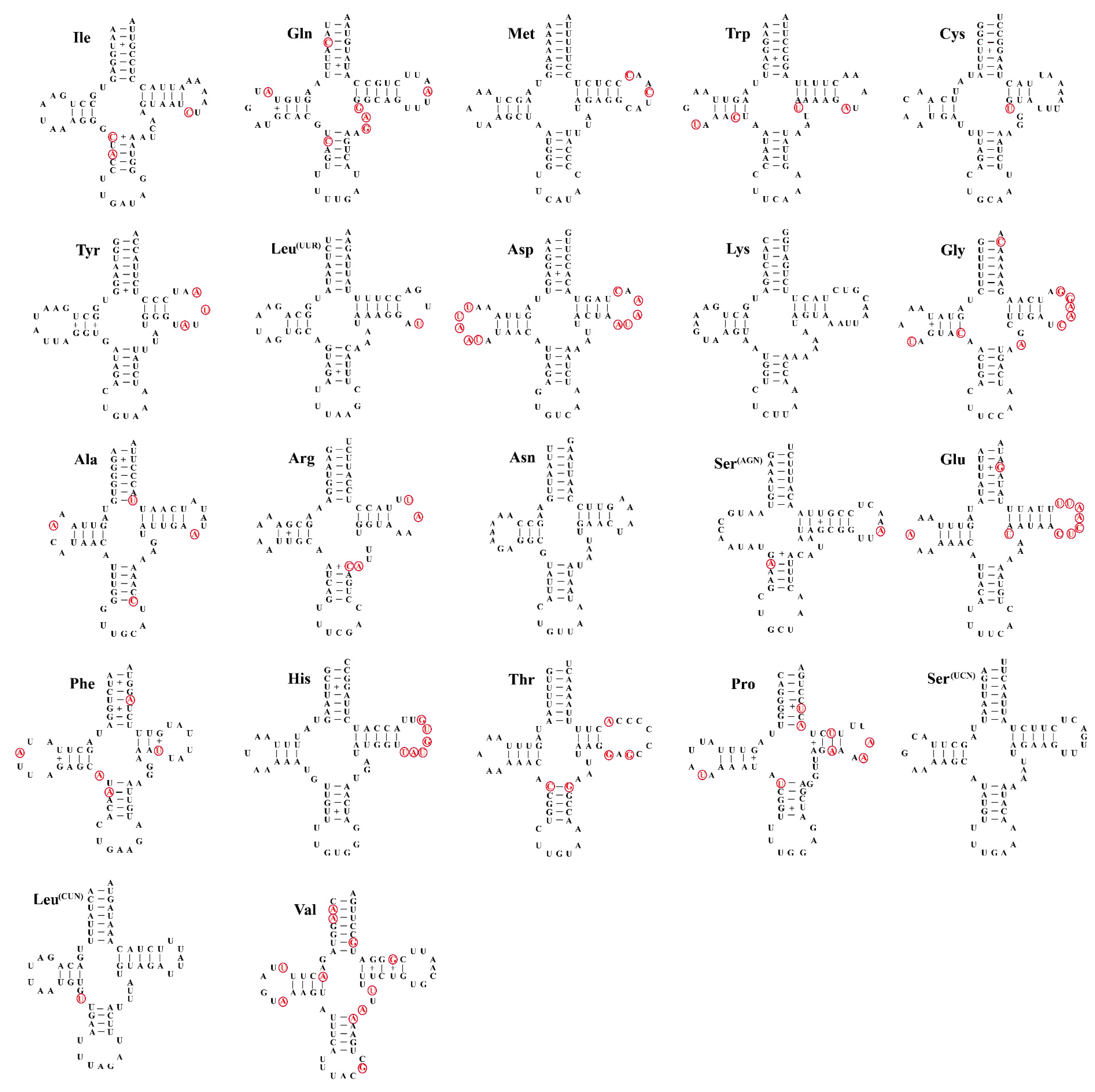 Insects 12 00605 g003