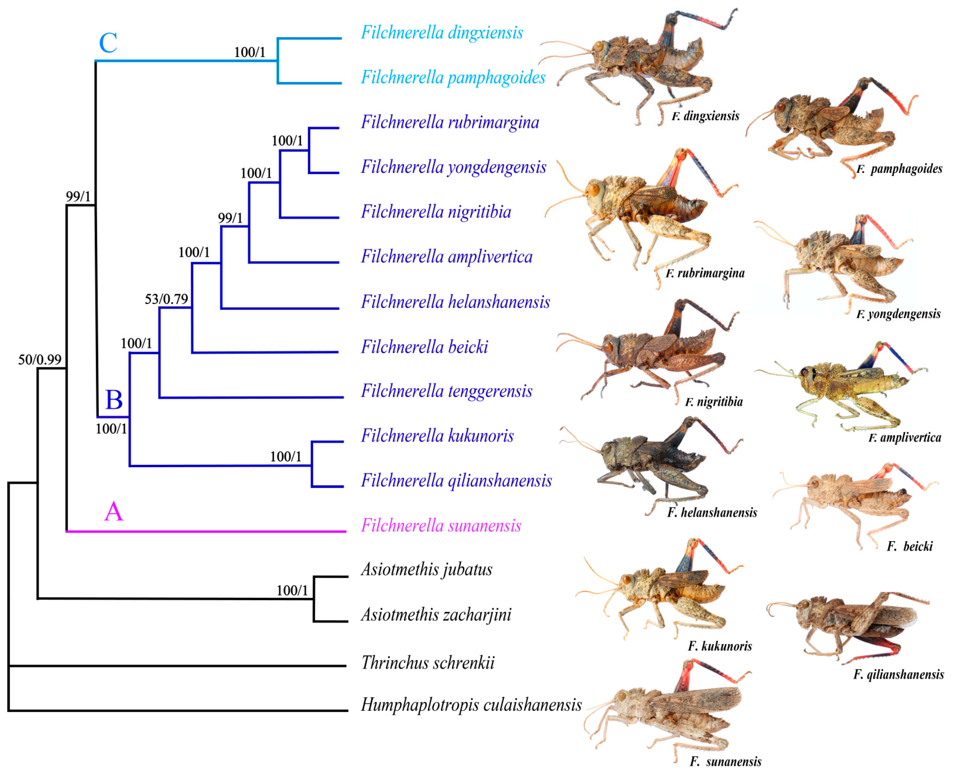 Insects 12 00605 g005