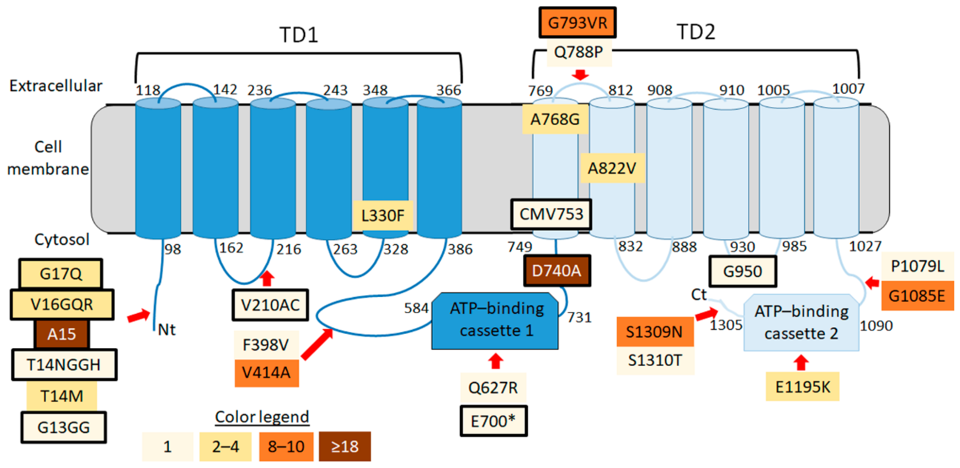 Insects 12 00618 g002